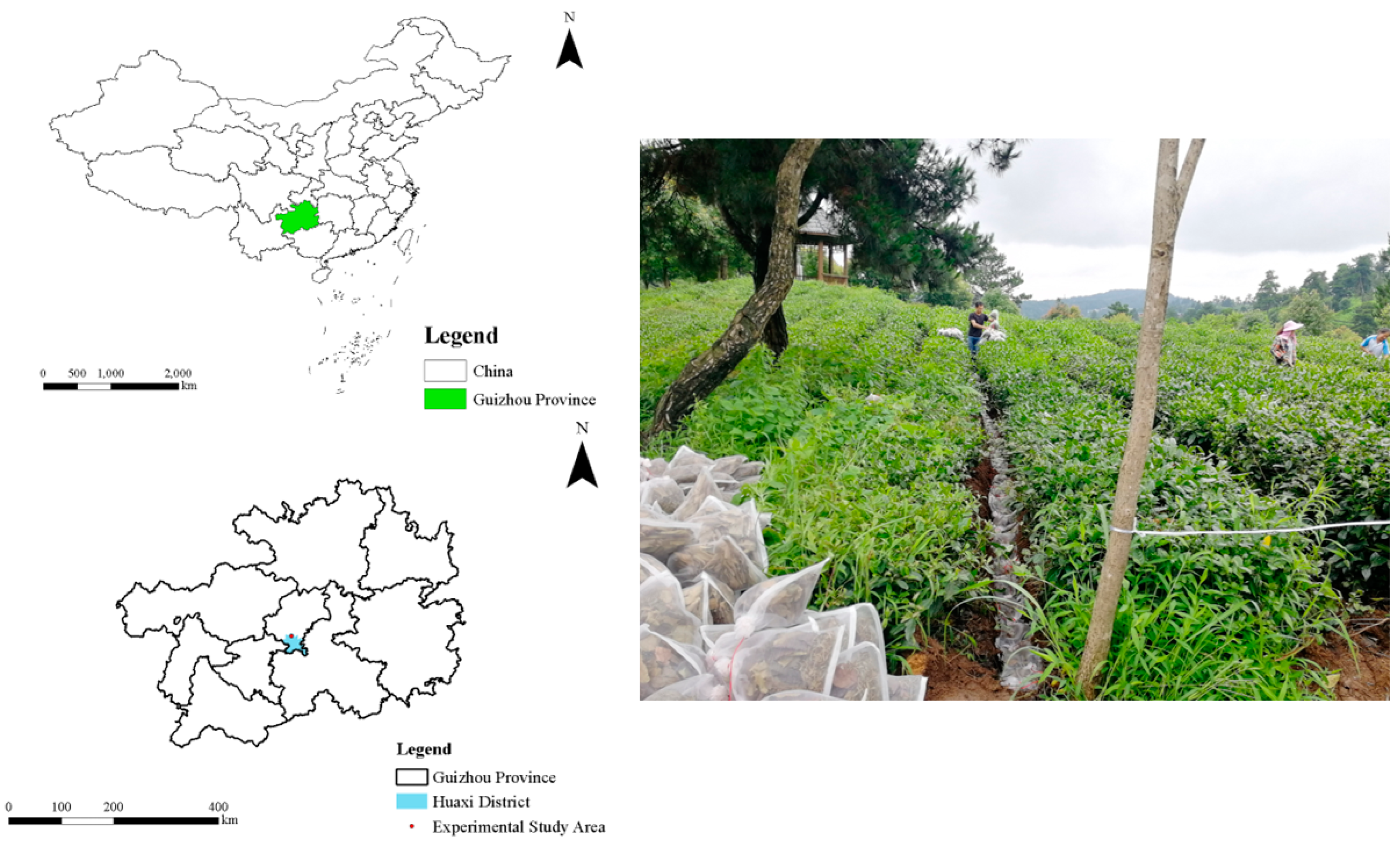 Agriculture 12 00957 g001 Agriculture 12 00957 g001