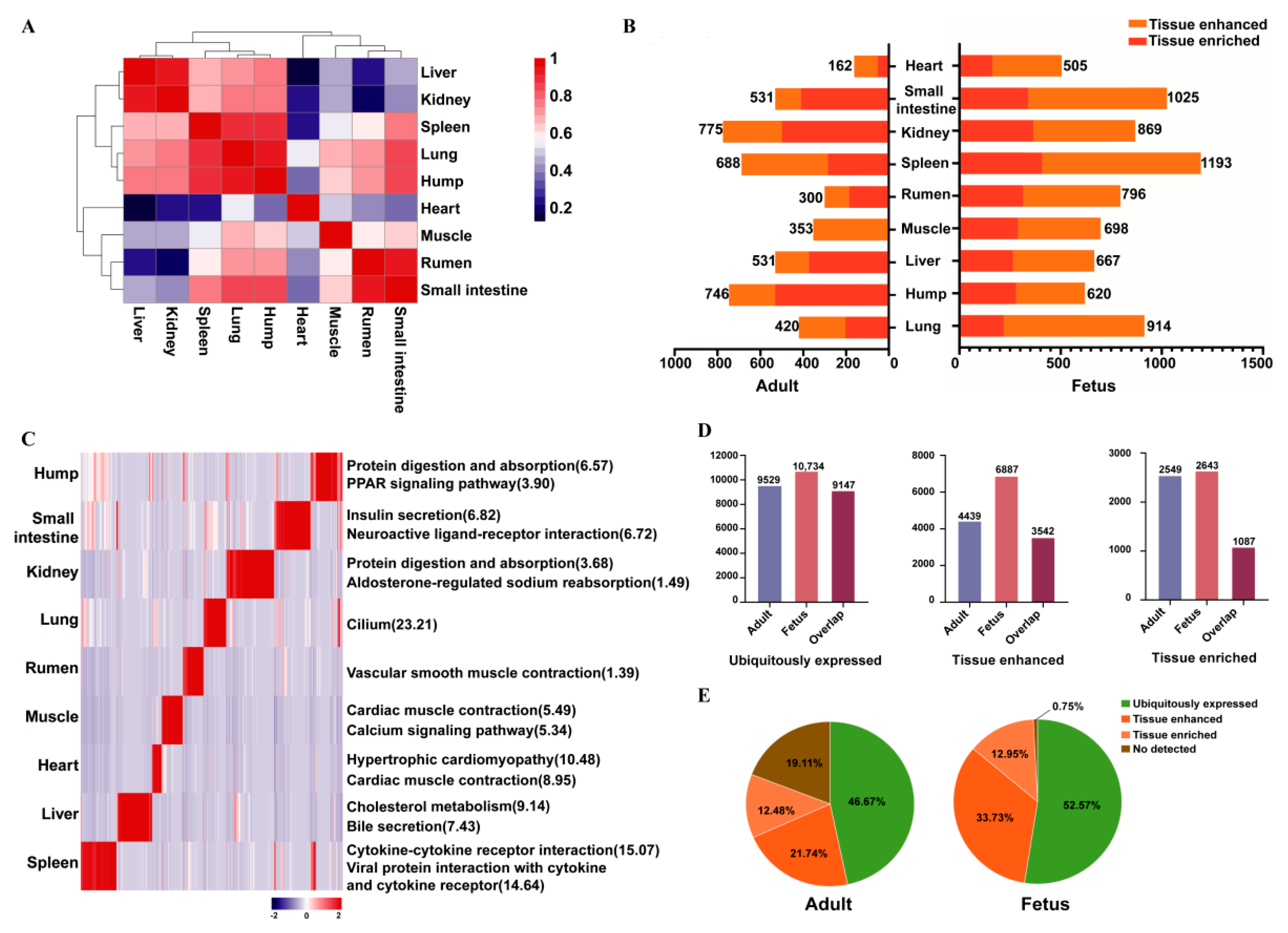 Agriculture 12 00958 g001