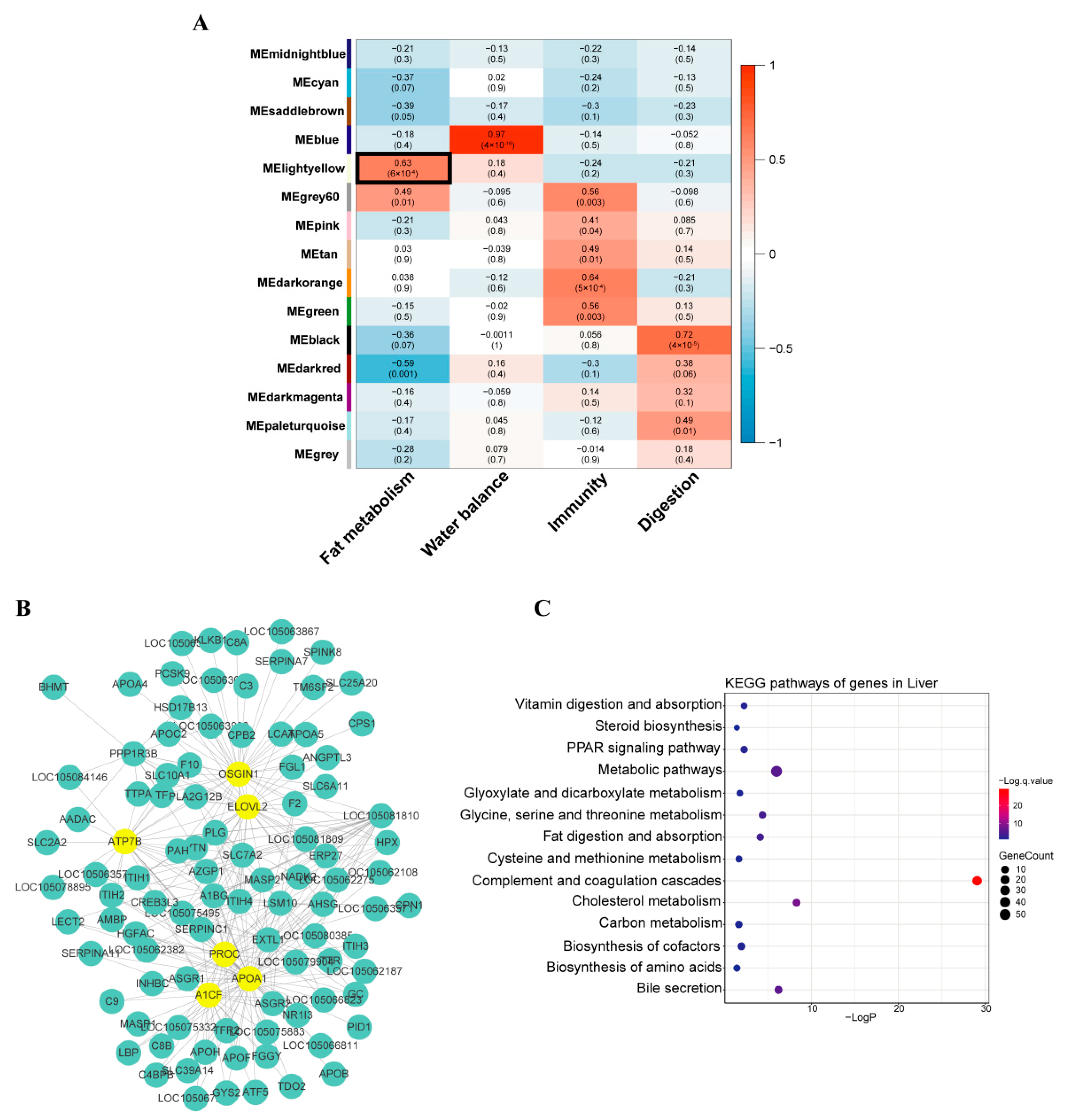 Agriculture 12 00958 g002