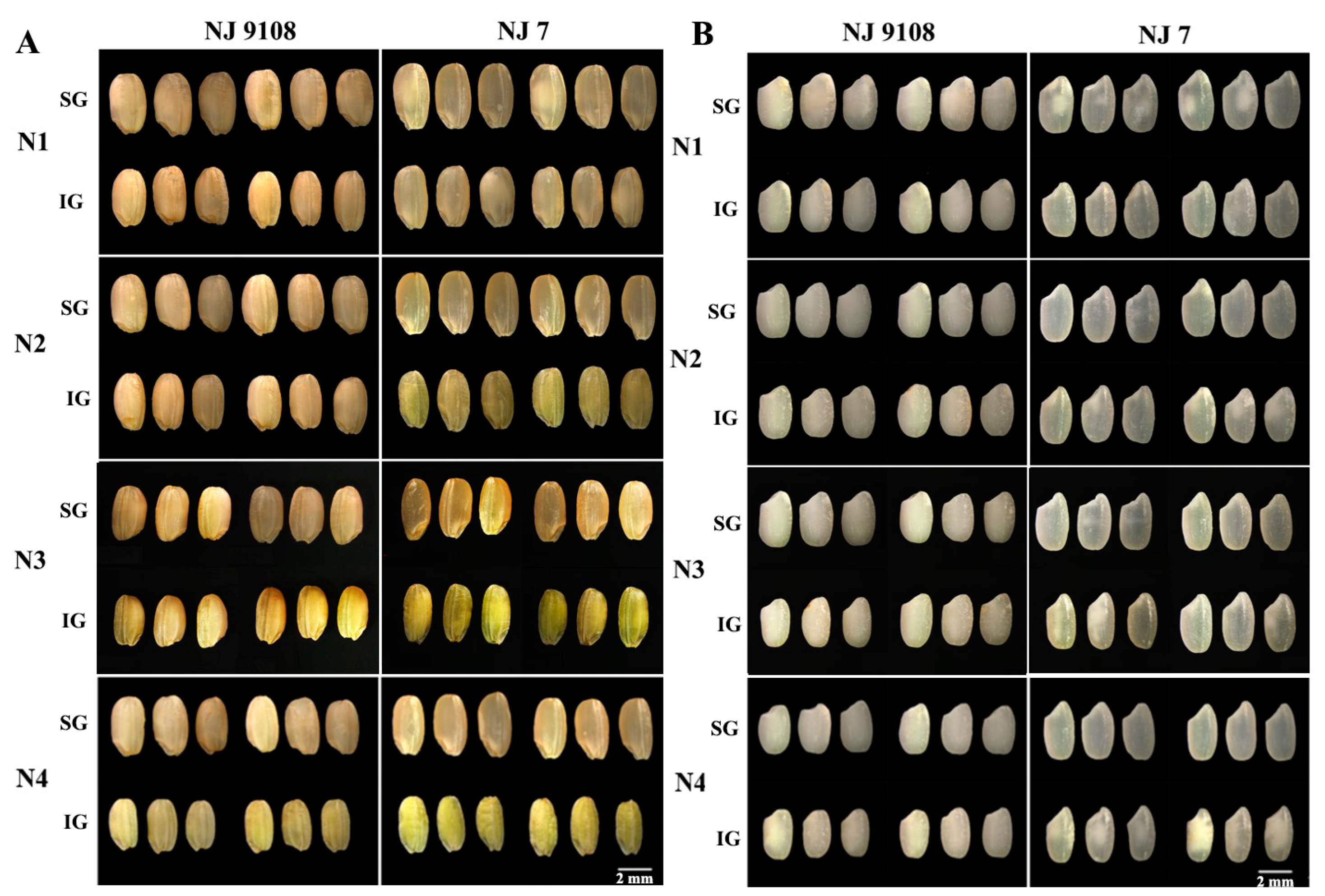 Agriculture 12 00962 g001