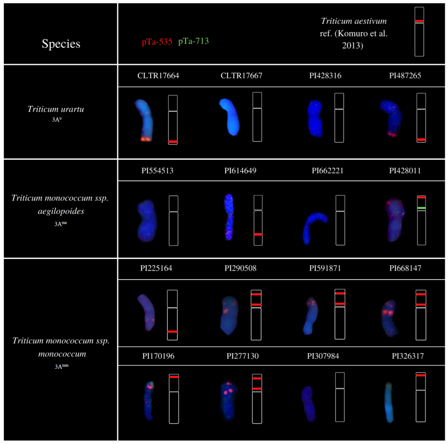 Agriculture 12 00966 g001