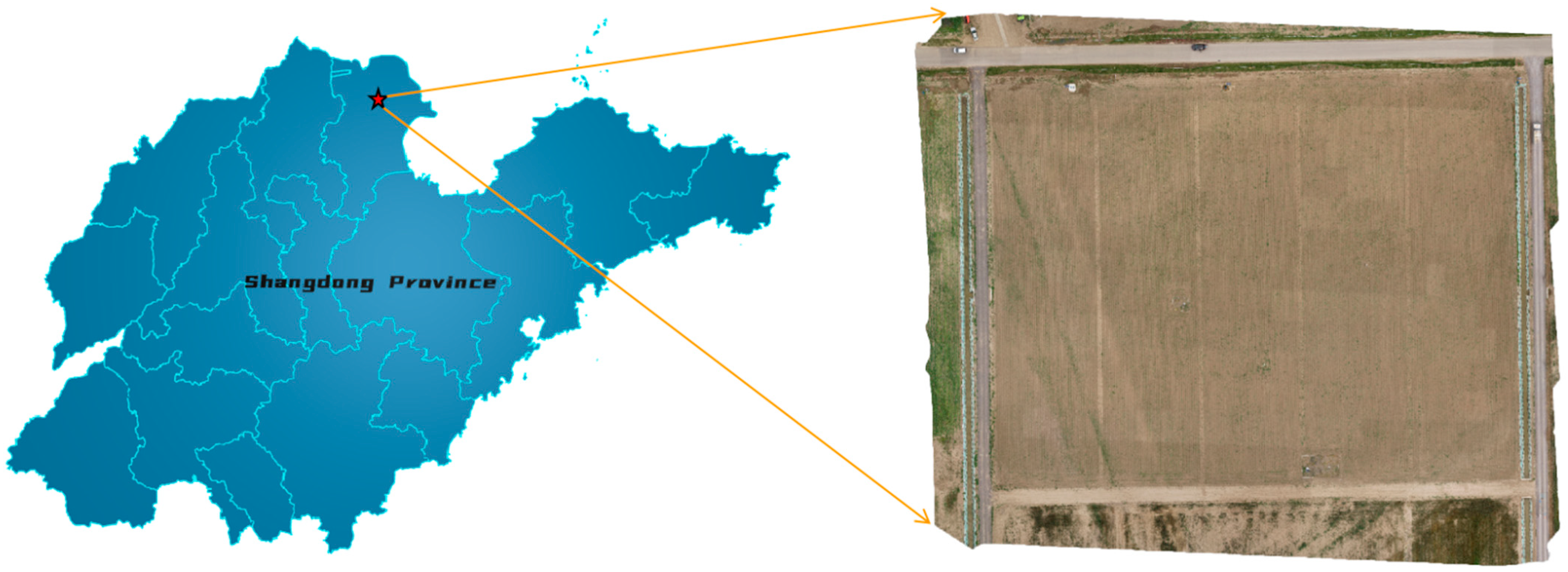 Agriculture 12 00975 g002 550