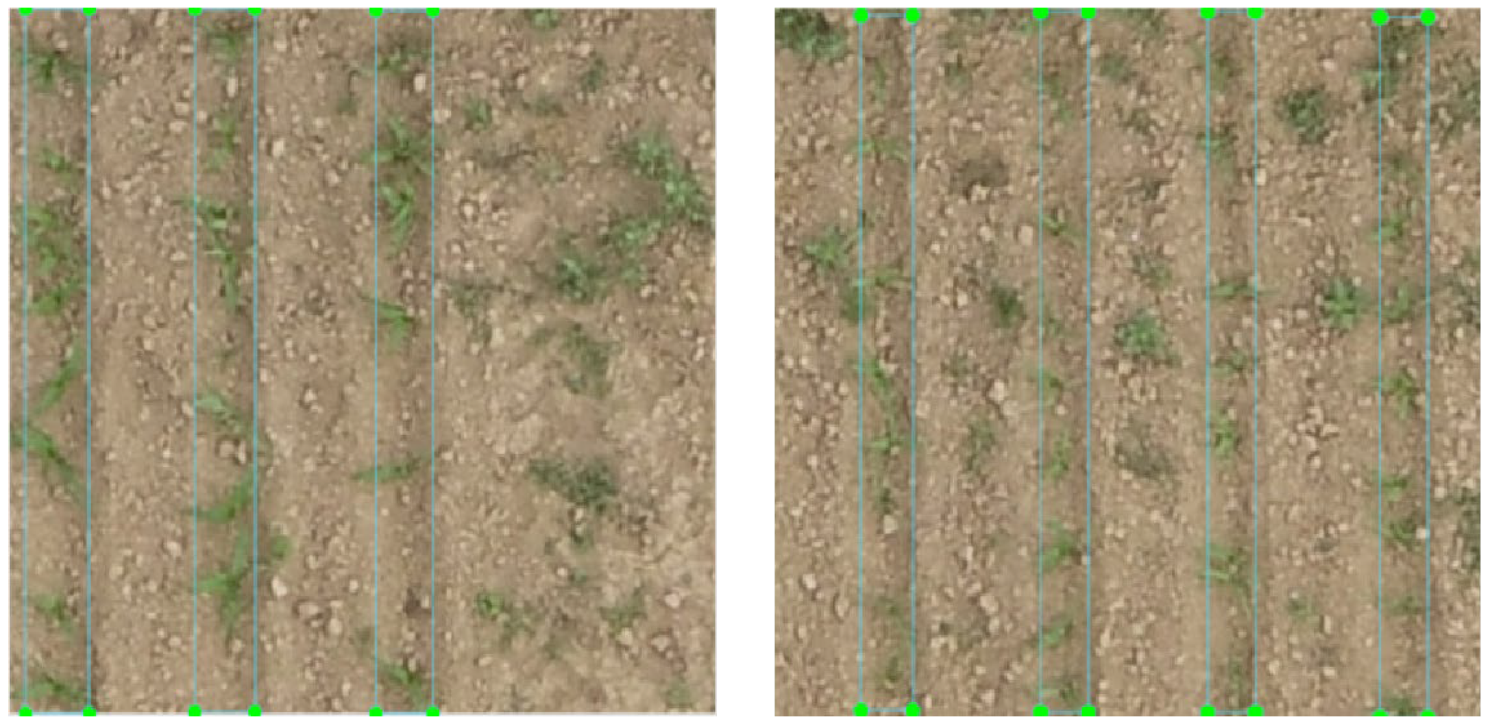 Agriculture 12 00975 g004 550