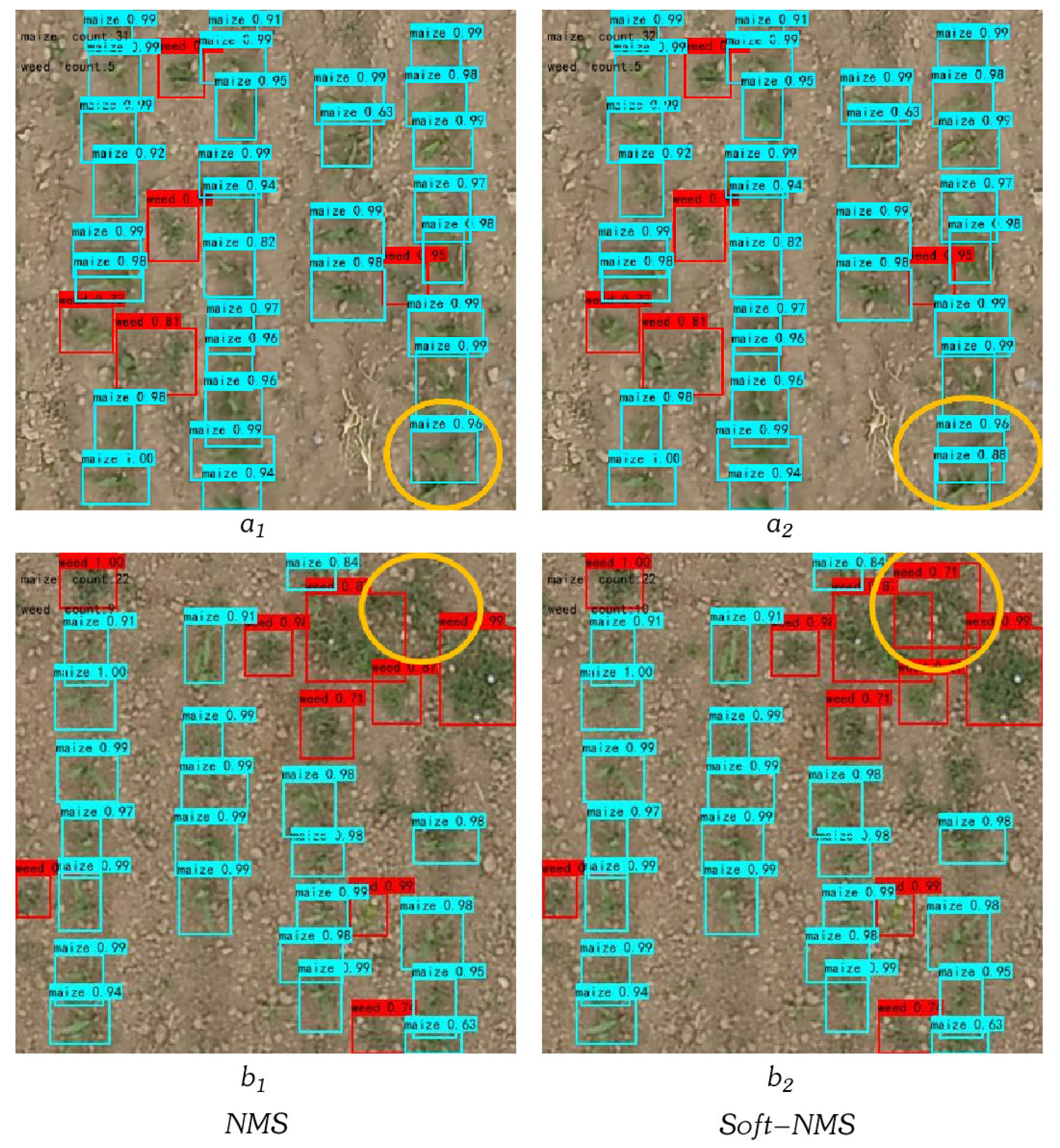 Agriculture 12 00975 g008 550