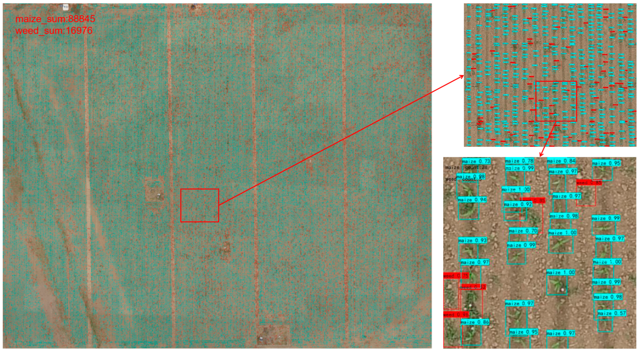 Agriculture 12 00975 g011 550