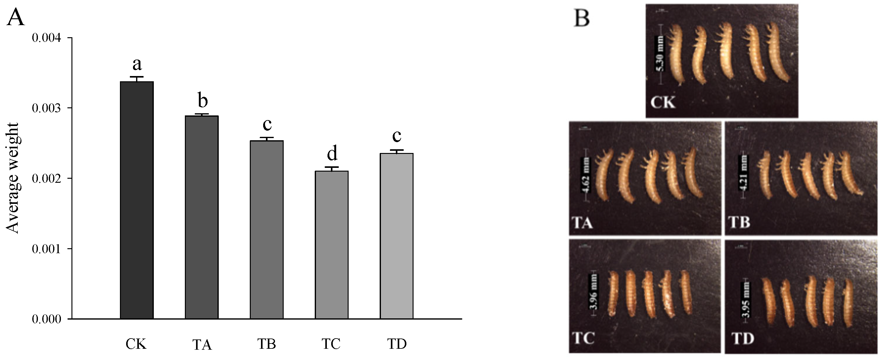 Agriculture 12 00979 g002 550