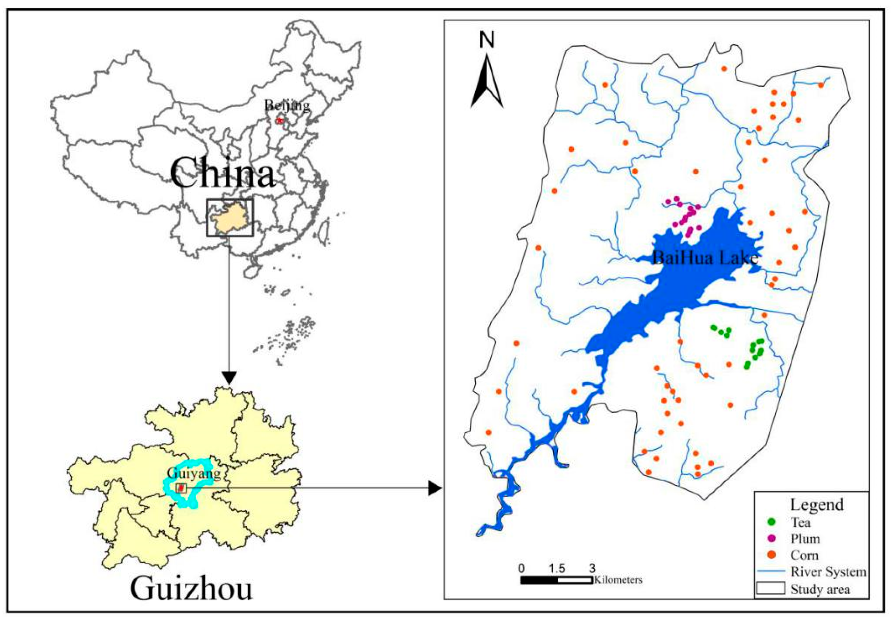 Agriculture 12 00981 g001 550