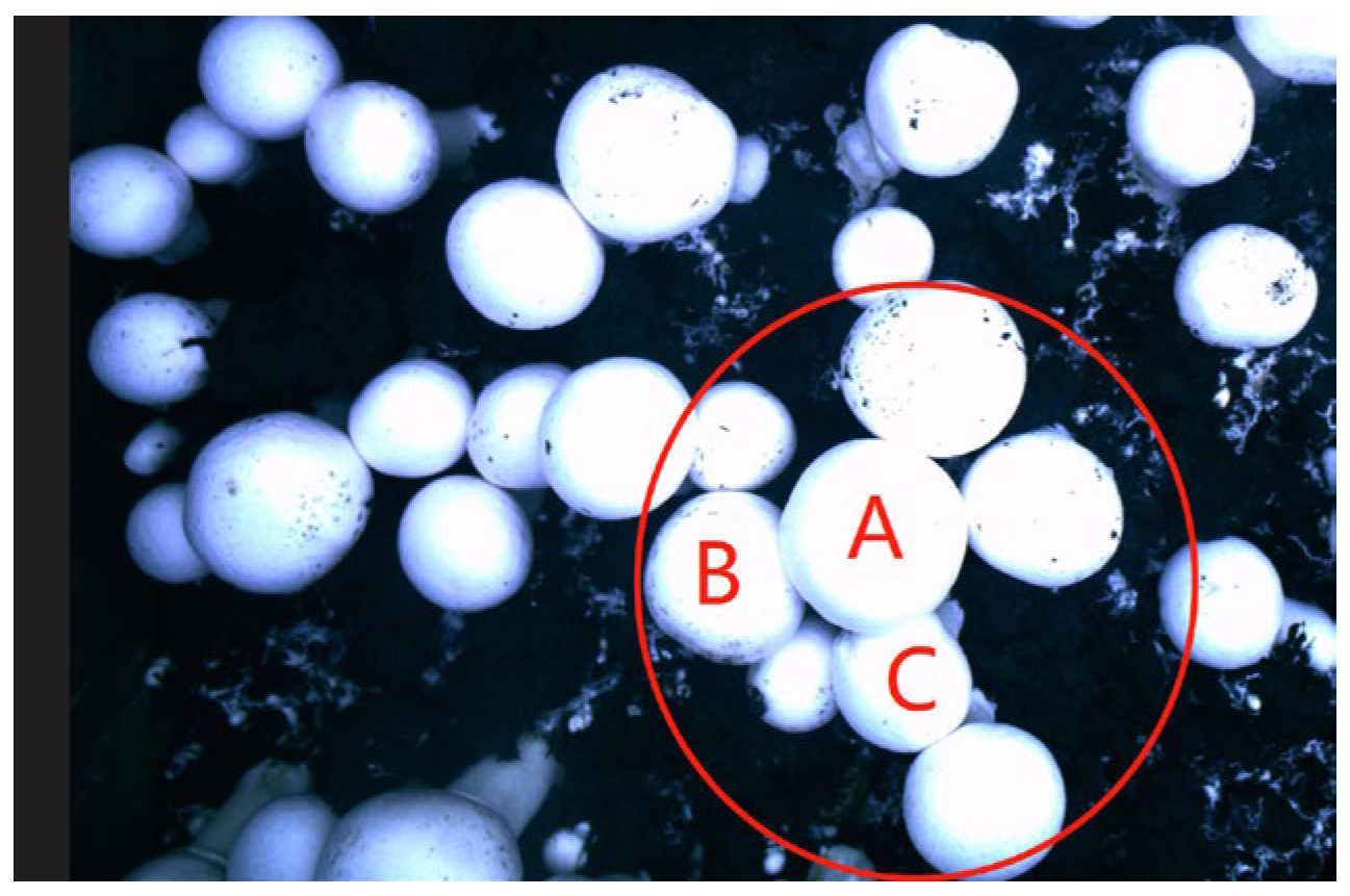 Agriculture 12 00986 g001 550