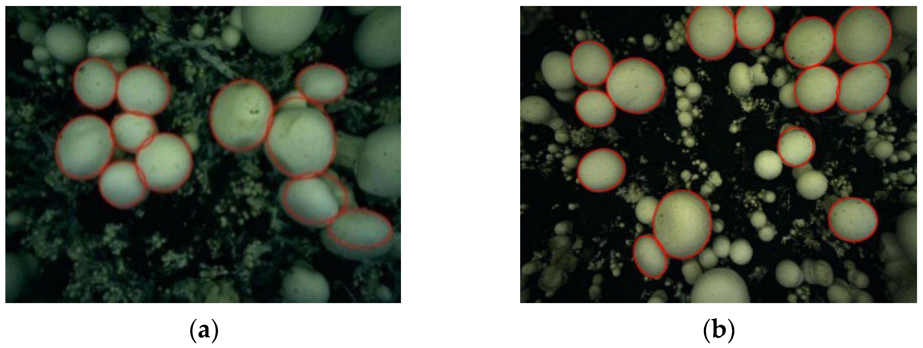 Agriculture 12 00986 g007 550