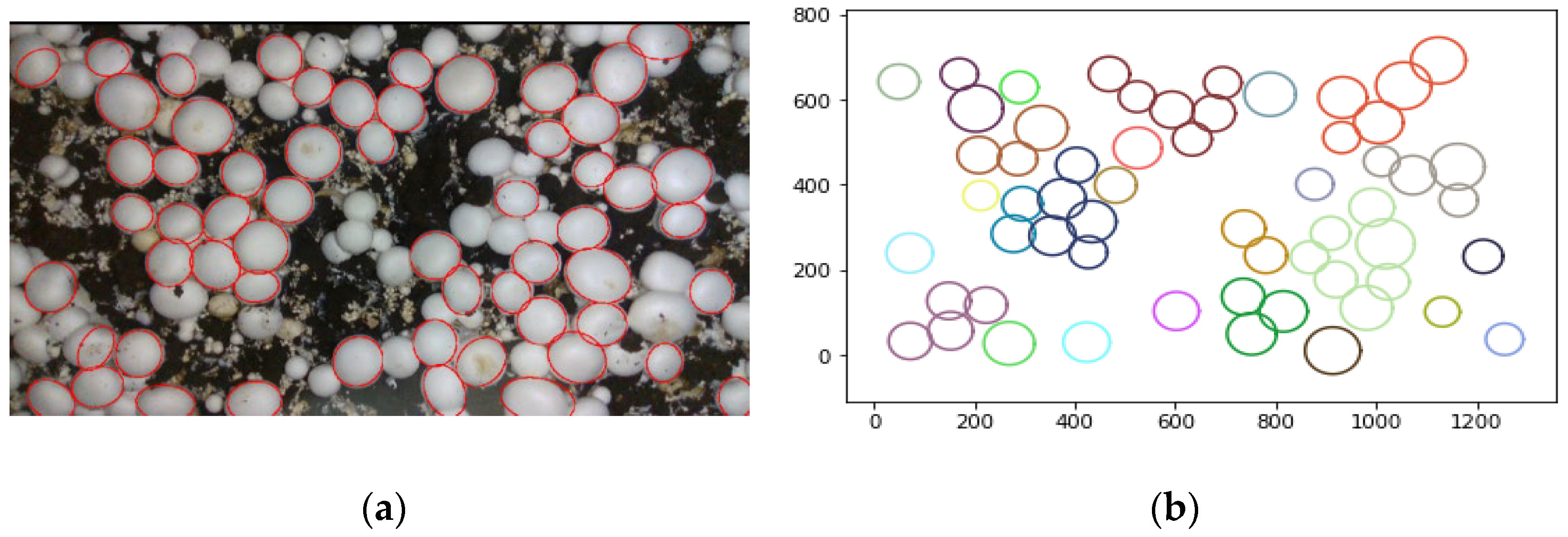 Agriculture 12 00986 g012 550