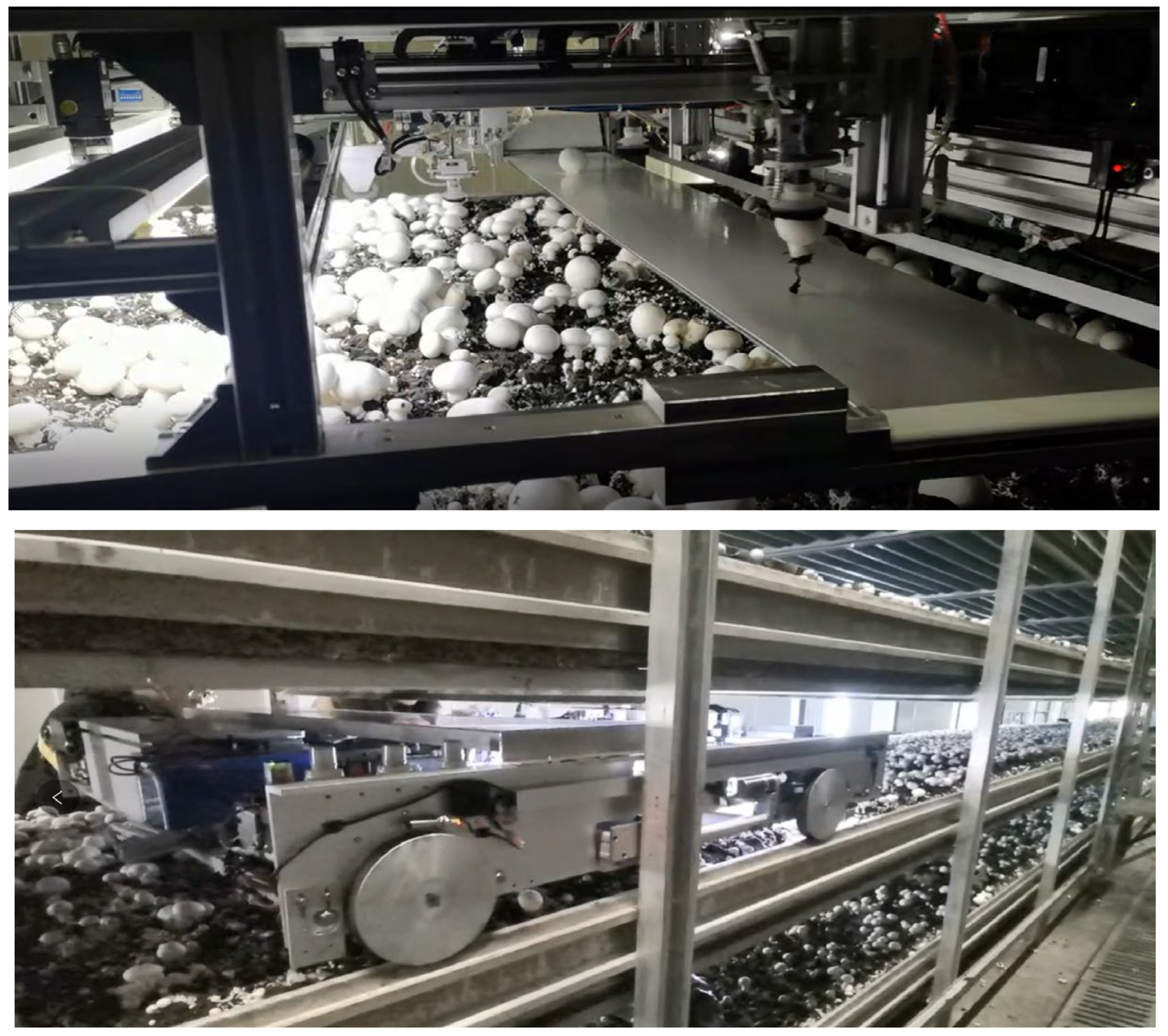 Agriculture 12 00986 g013 550