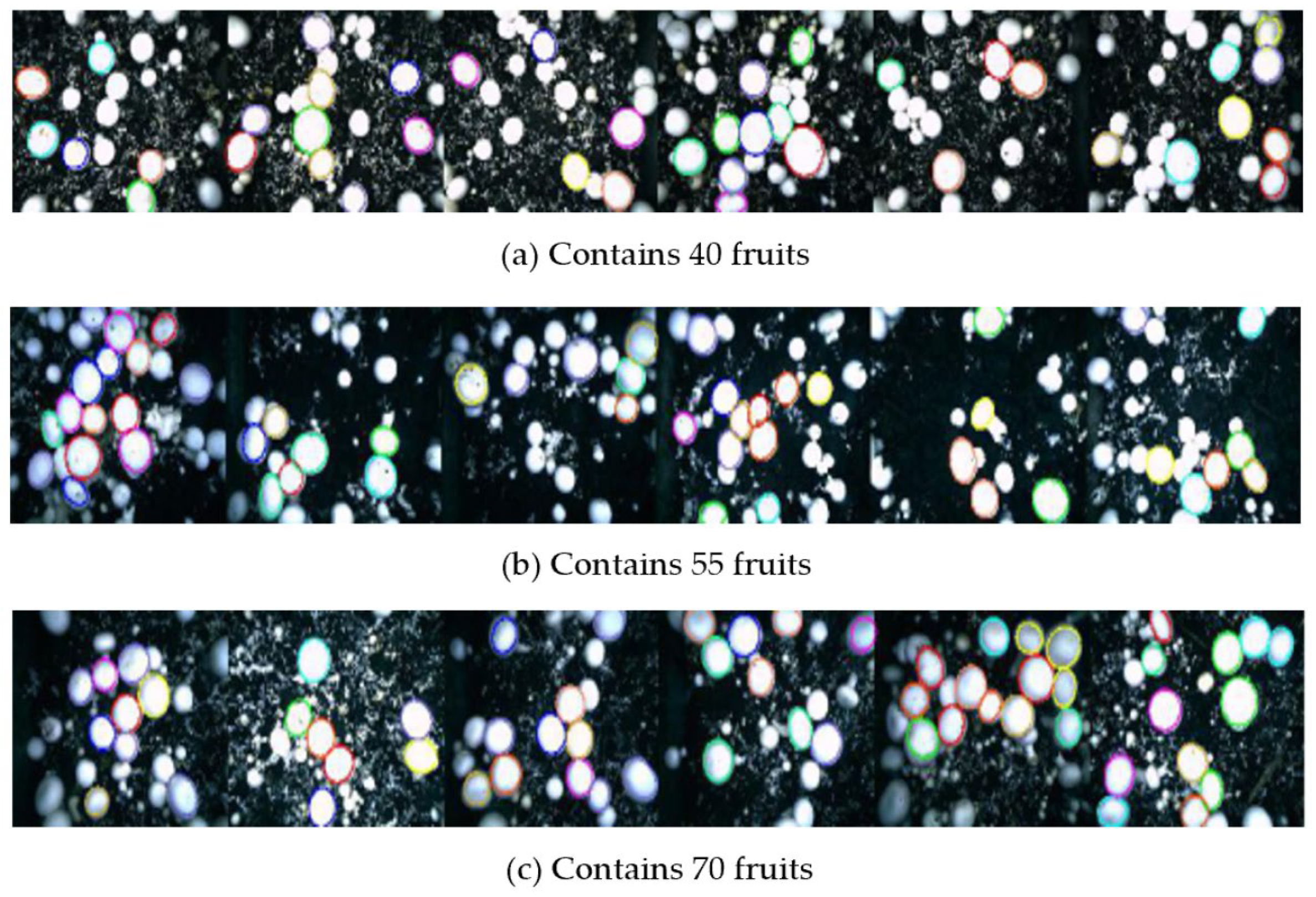 Agriculture 12 00986 g014 550