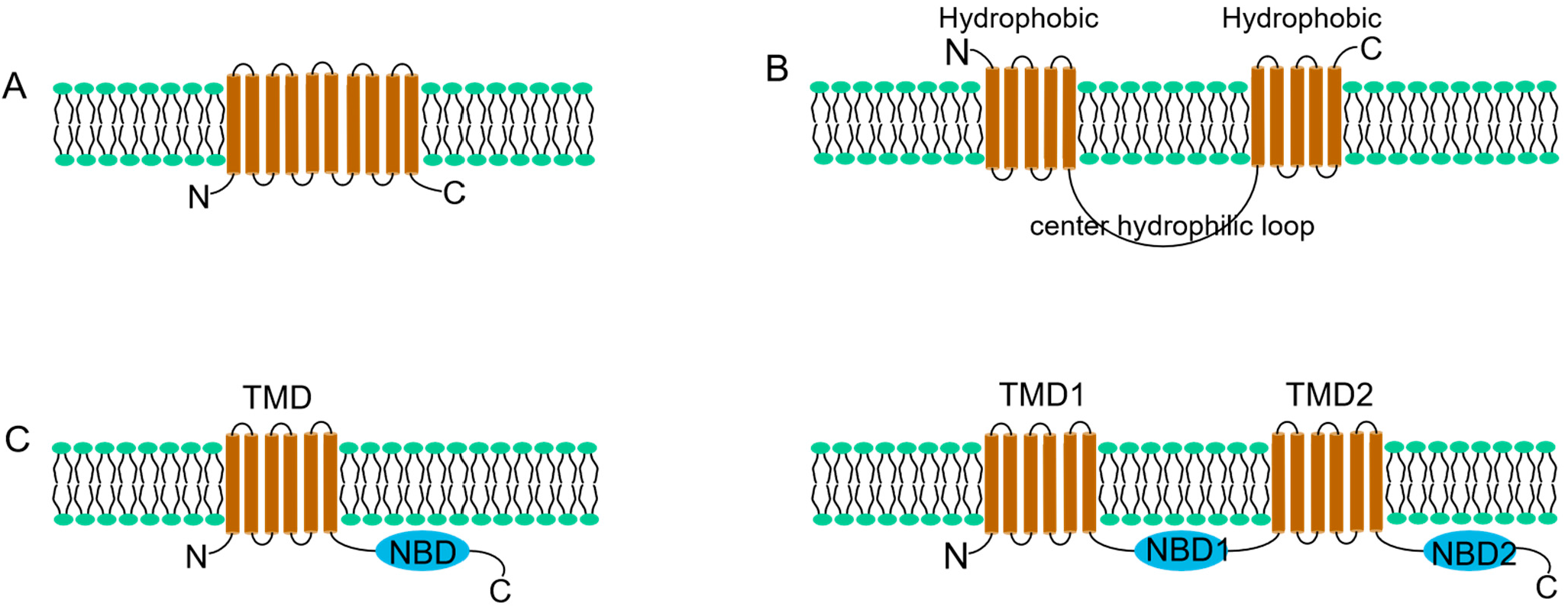 Agriculture 12 00989 g003