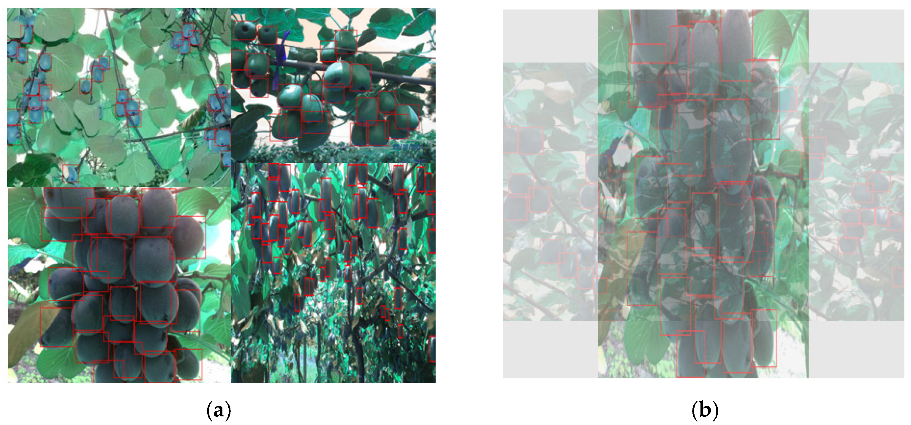 Agriculture 12 00993 g004