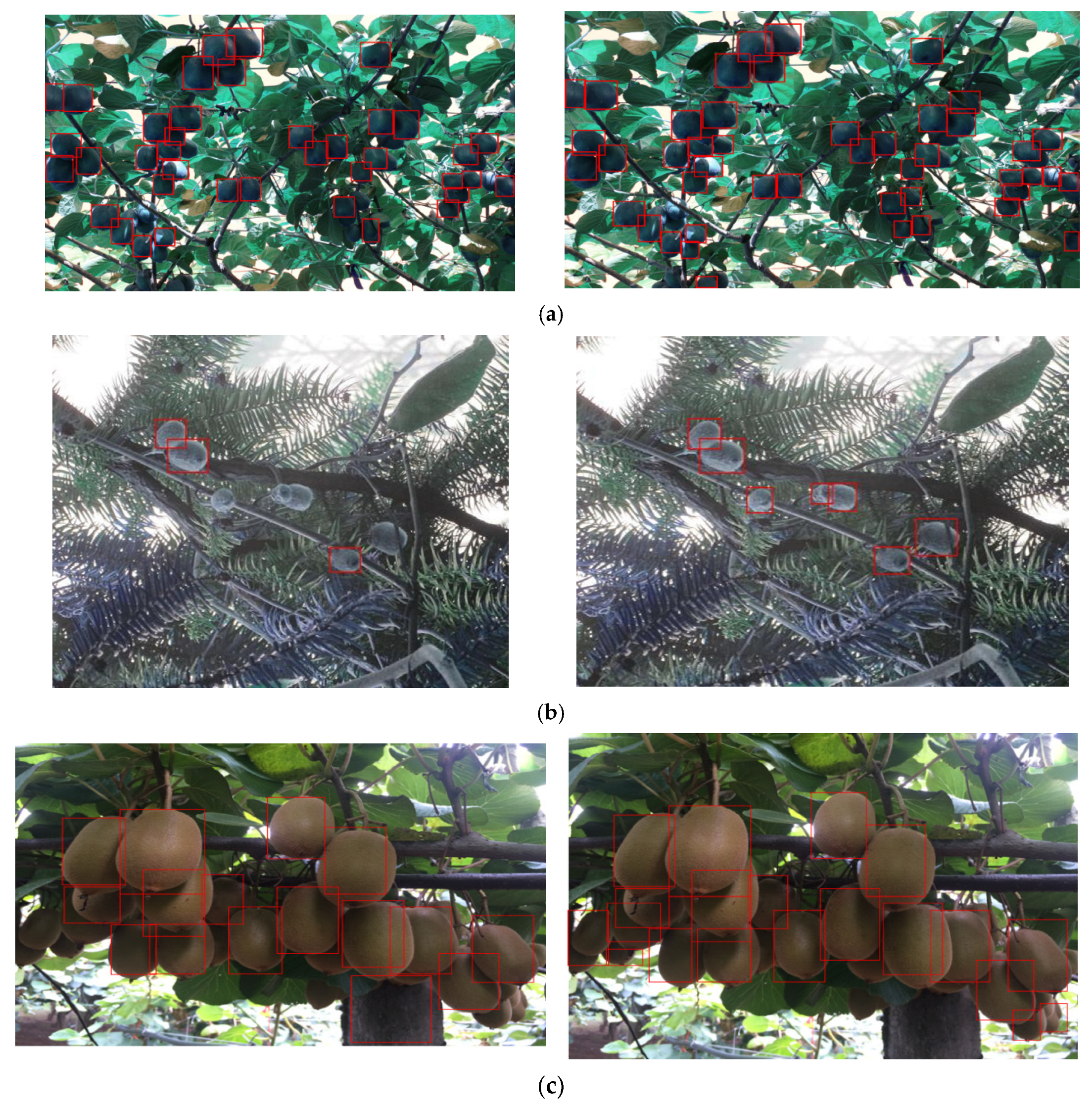 Agriculture 12 00993 g011