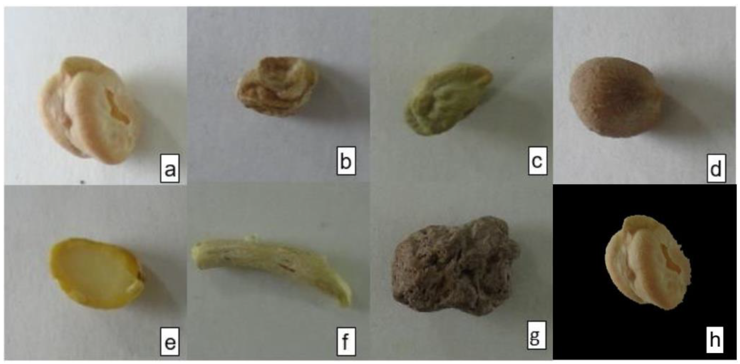 Agriculture 12 00995 g001 550