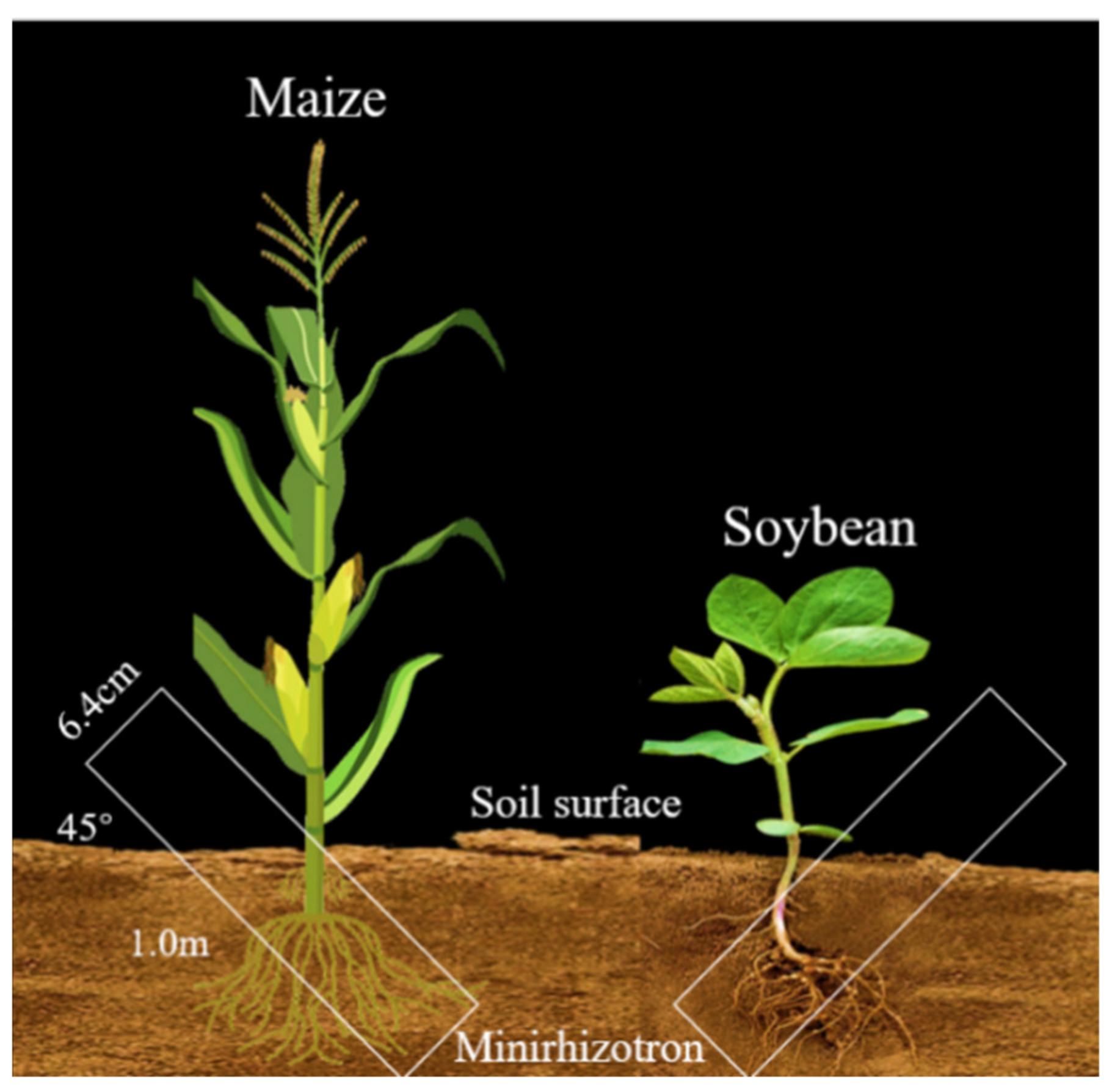 Agriculture 12 00996 g002