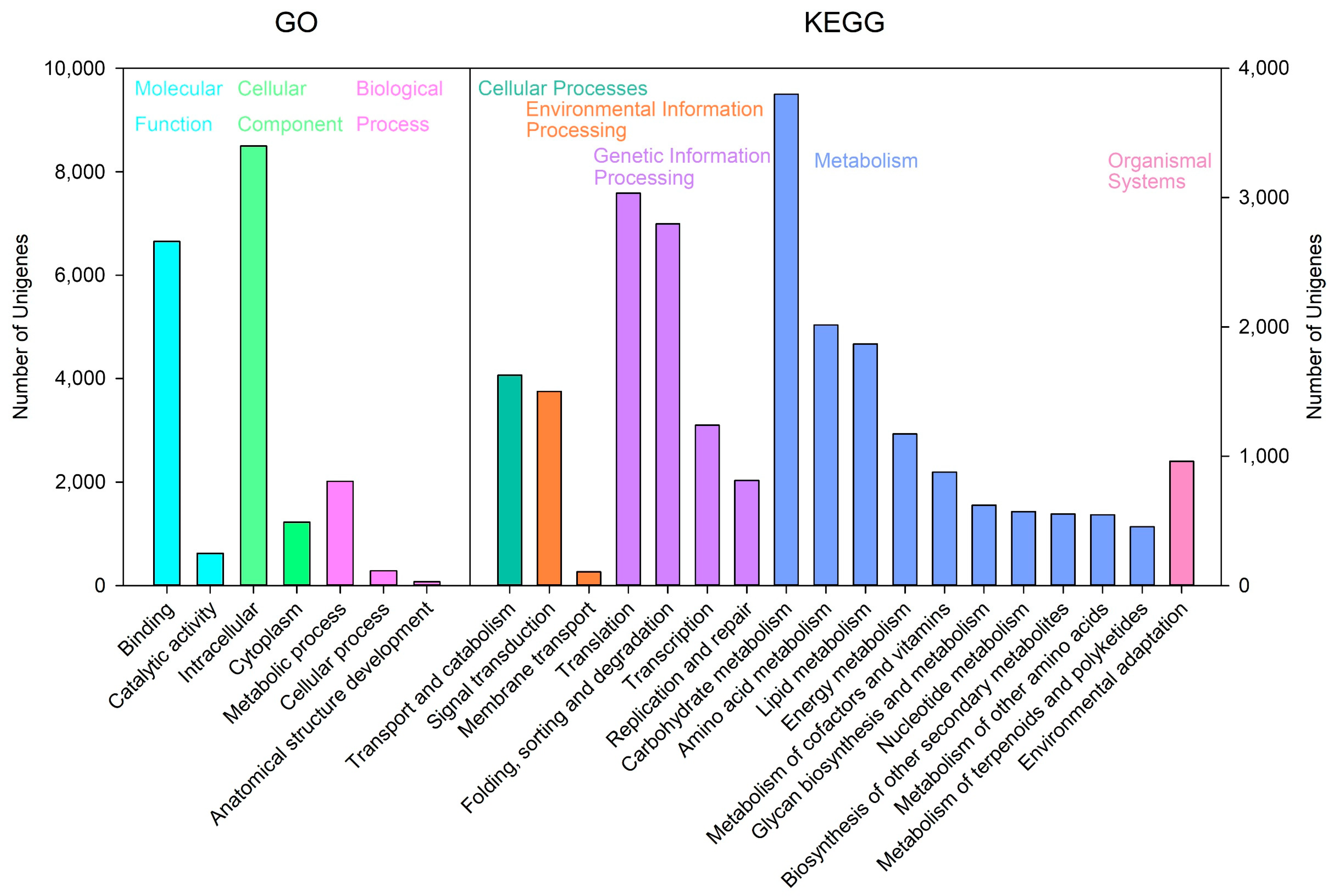 Agriculture 12 01003 g002