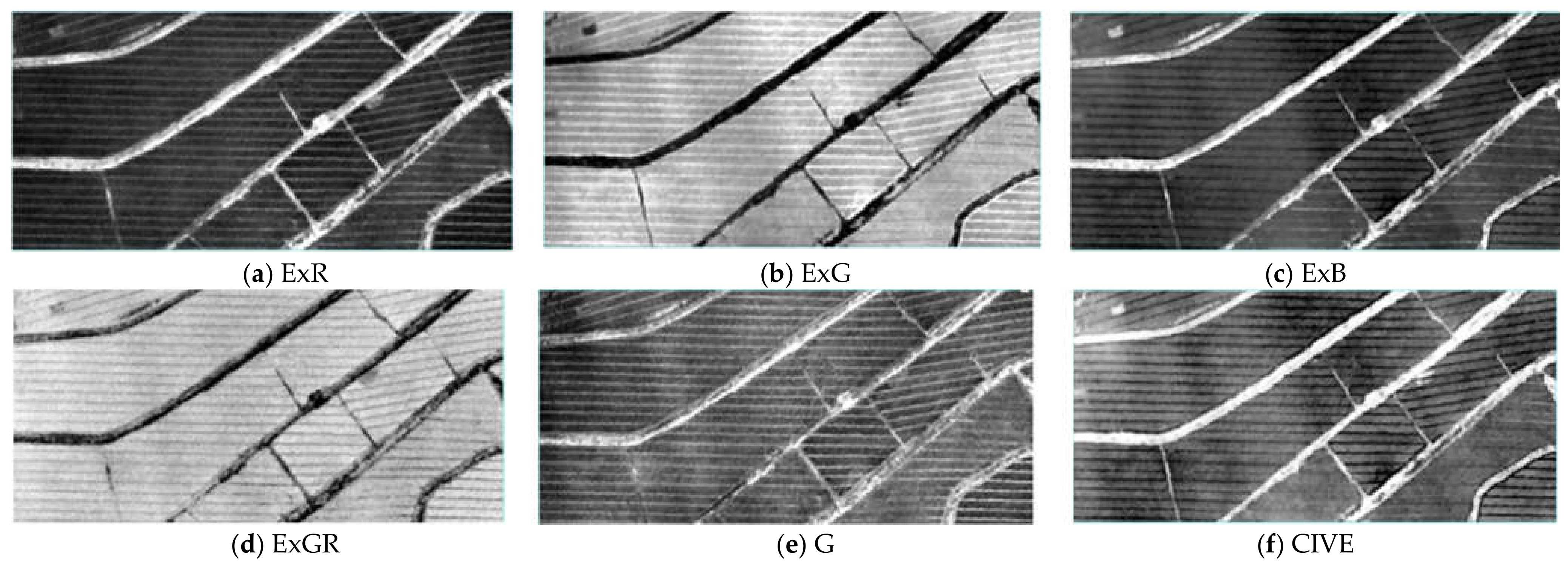 Agriculture 12 01005 g003 550