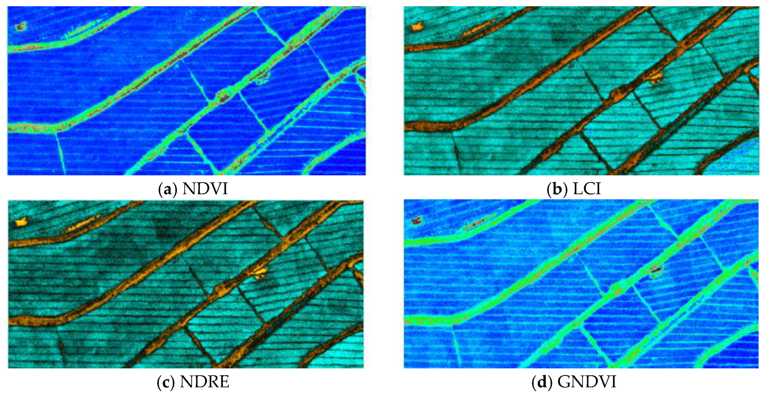 Agriculture 12 01005 g004 550