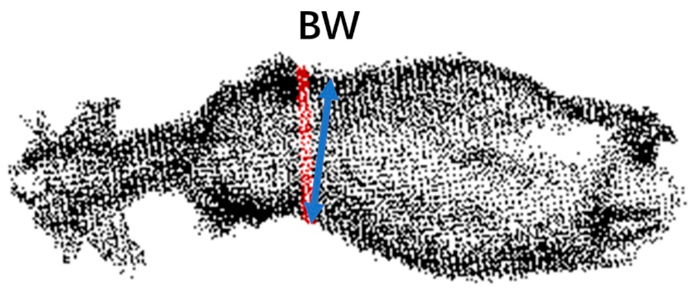 Agriculture 12 01012 g017 550