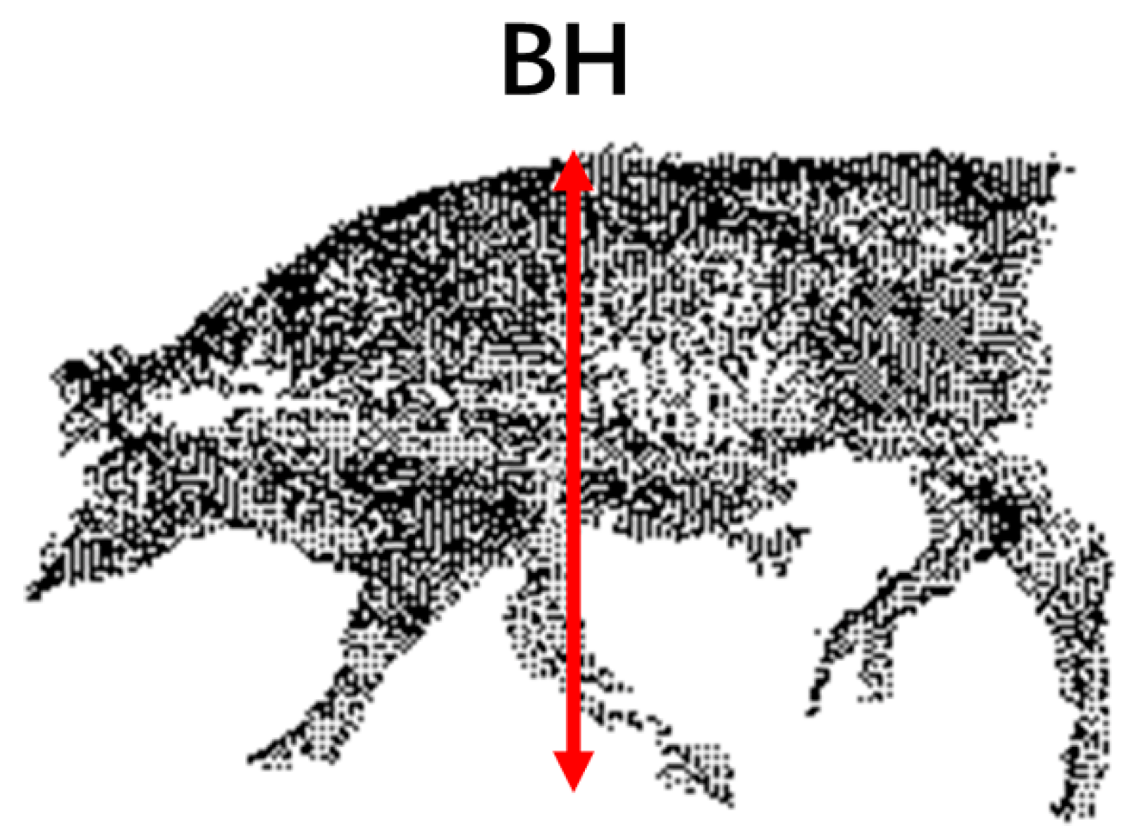 Agriculture 12 01012 g020 550