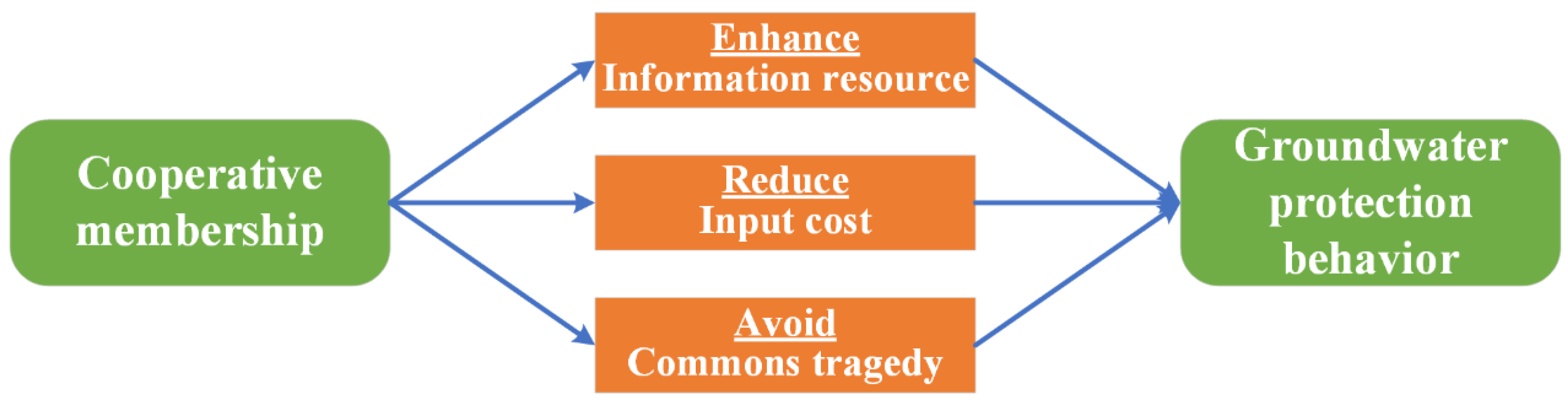 Agriculture 12 01016 g001