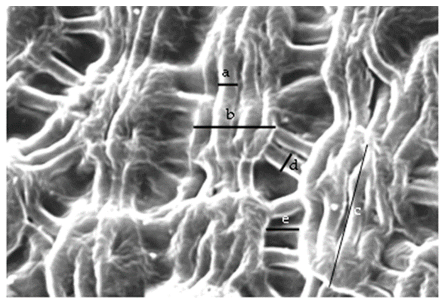Agriculture 12 01017 g001