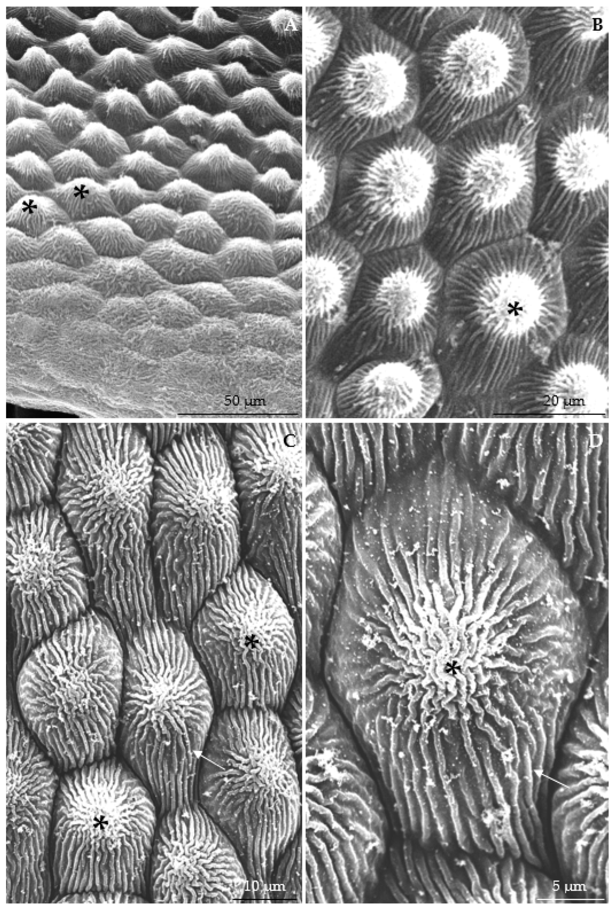 Agriculture 12 01017 g003