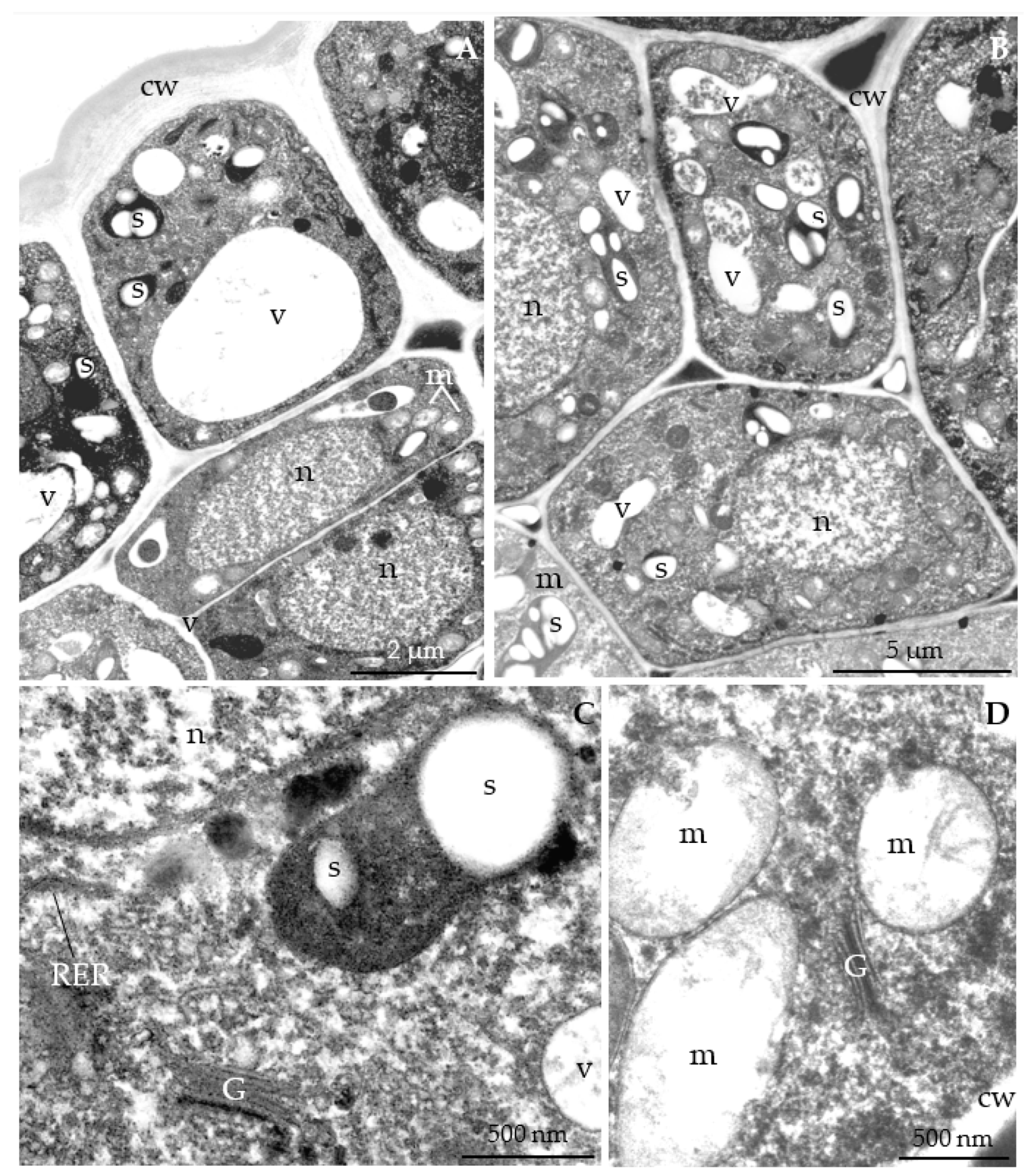 Agriculture 12 01017 g011
