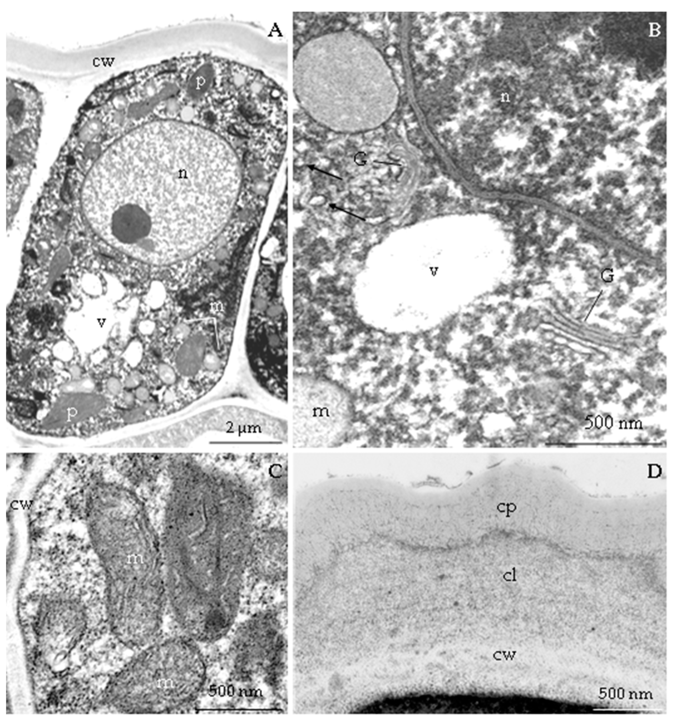 Agriculture 12 01017 g012