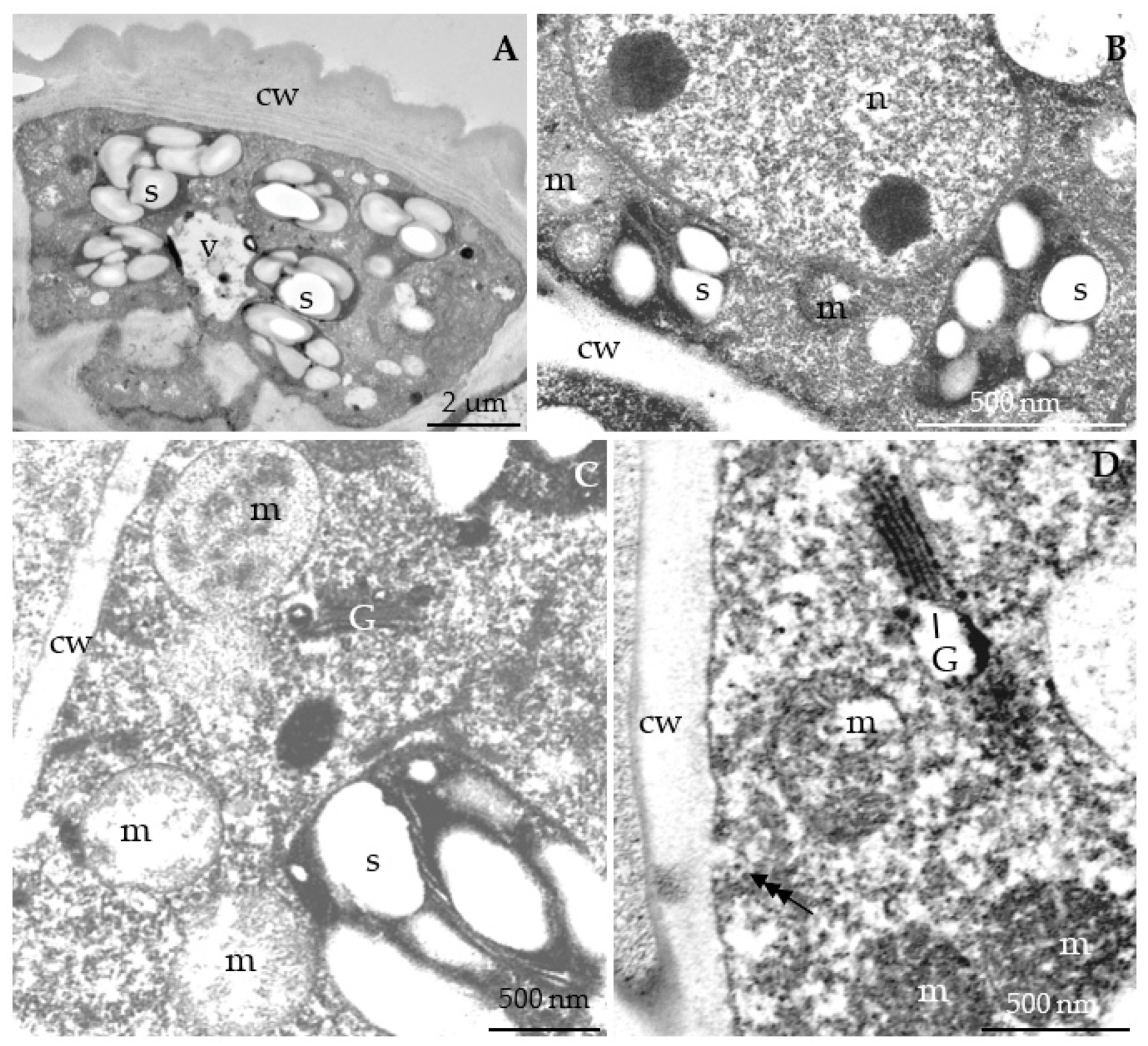 Agriculture 12 01017 g013