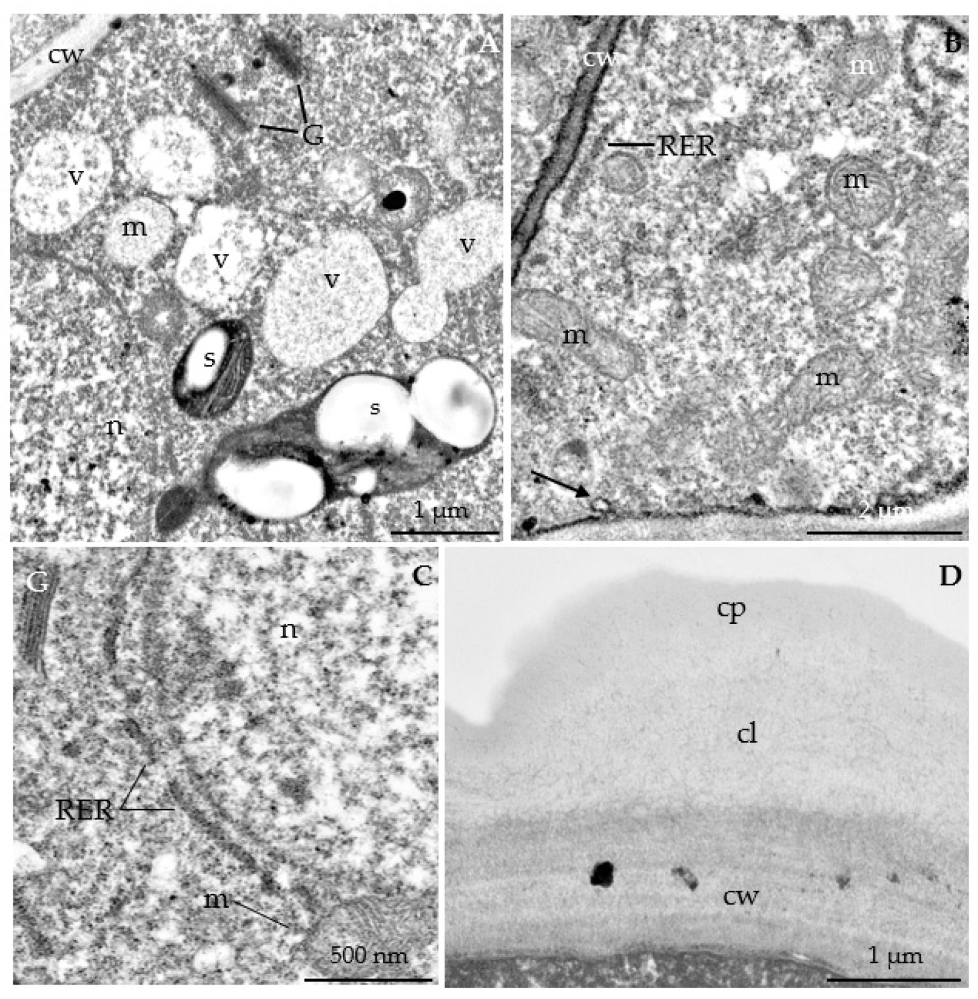Agriculture 12 01017 g016