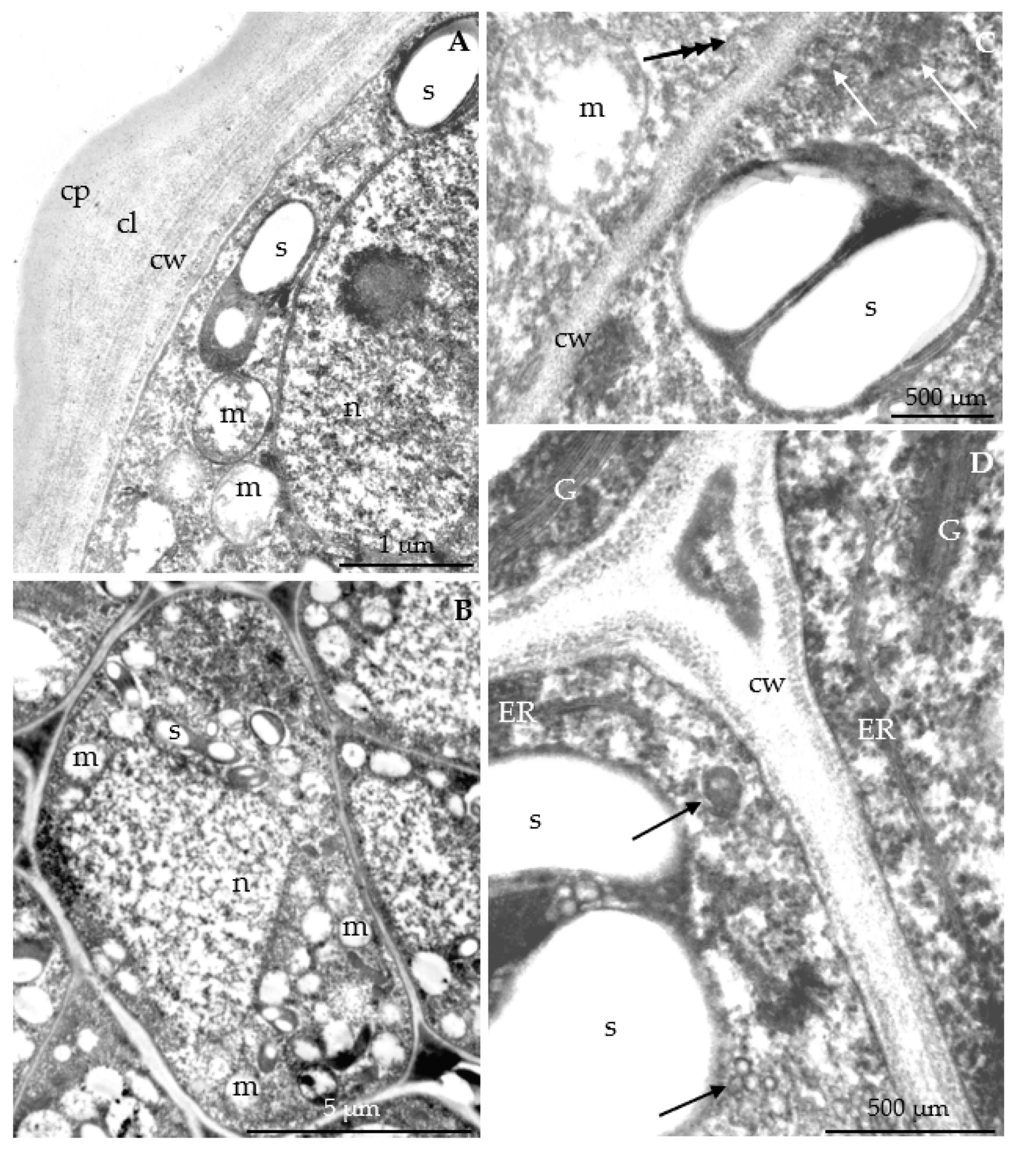 Agriculture 12 01017 g017