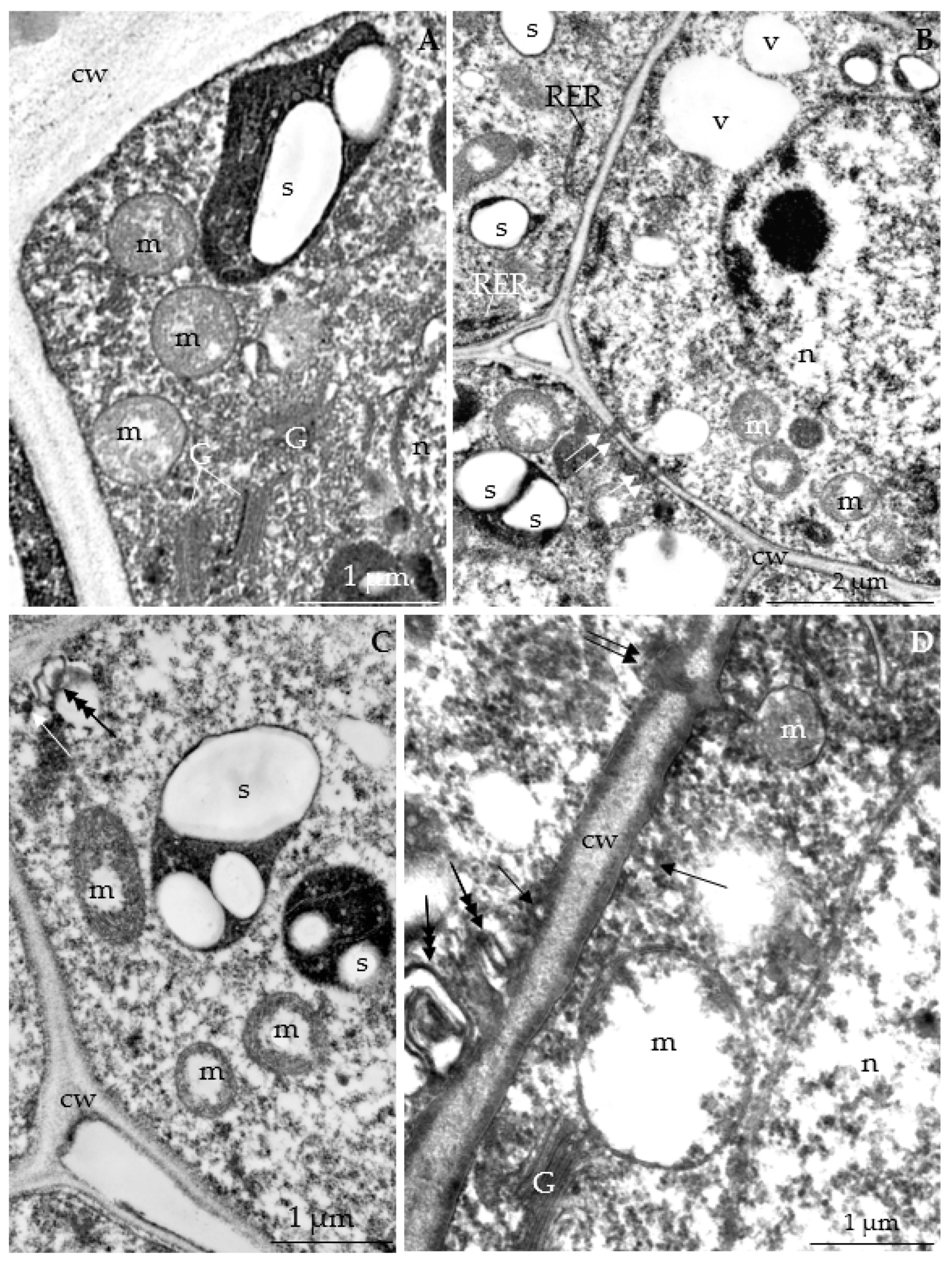 Agriculture 12 01017 g019