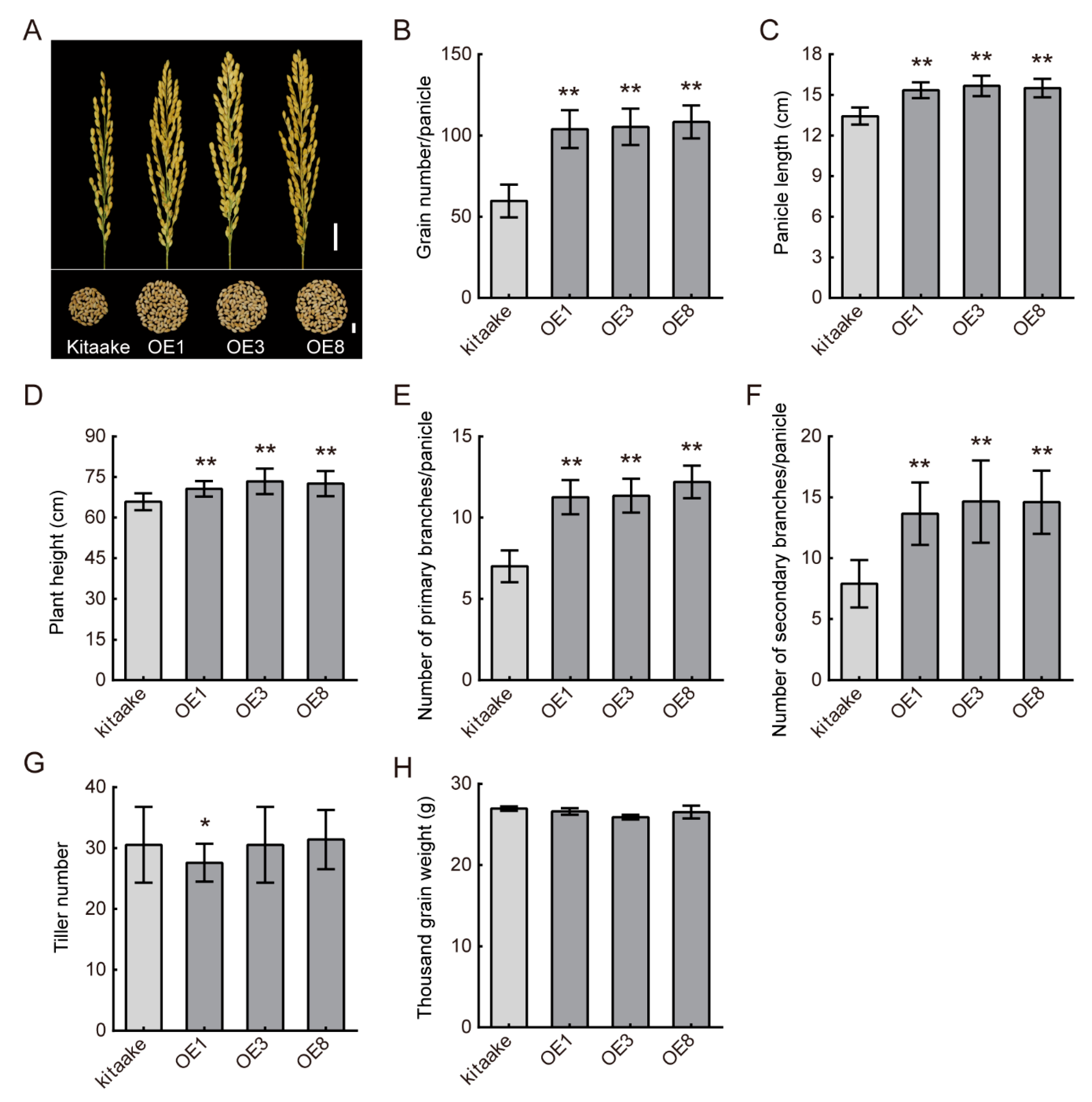 Agriculture 12 01022 g002