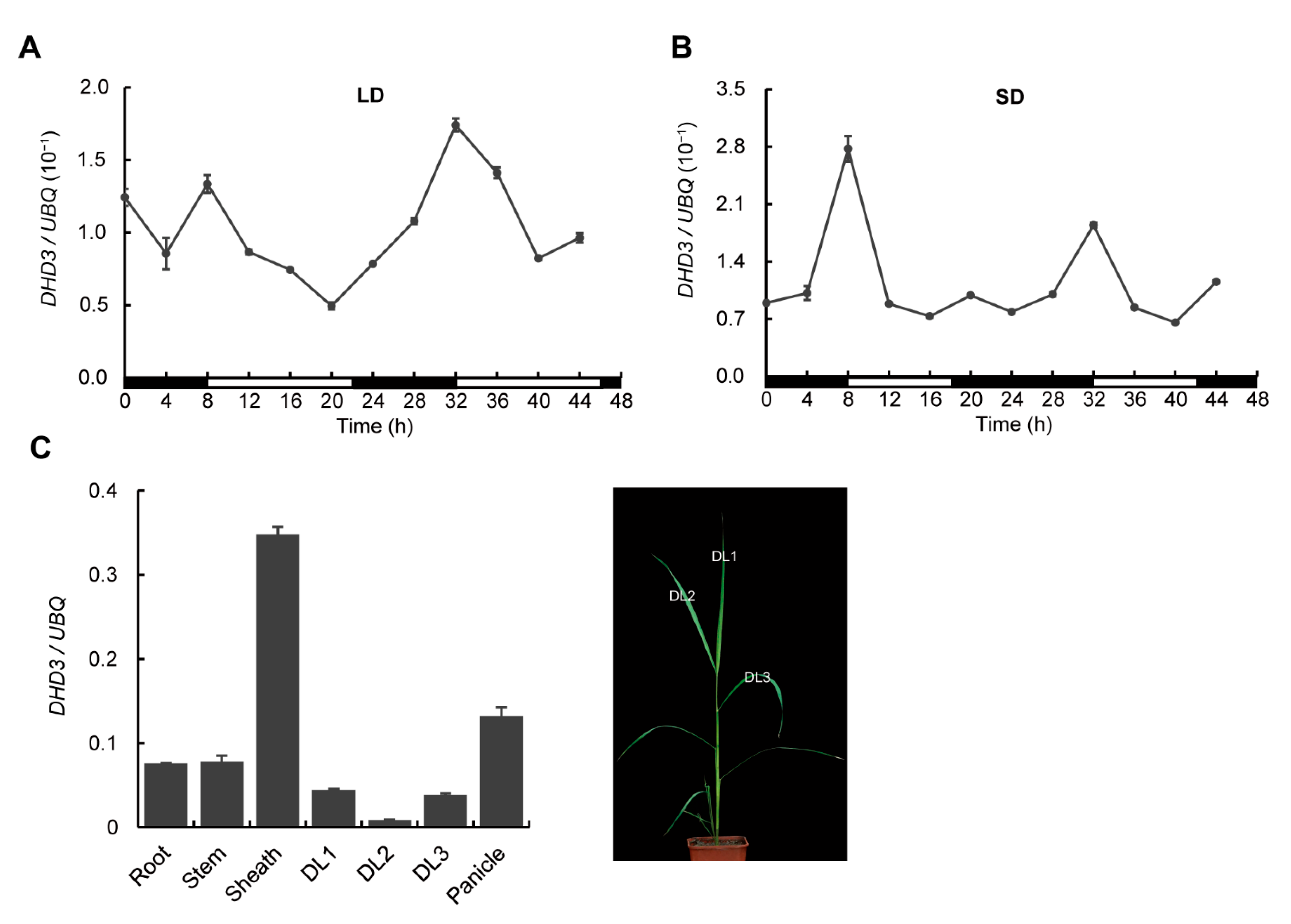 Agriculture 12 01022 g003