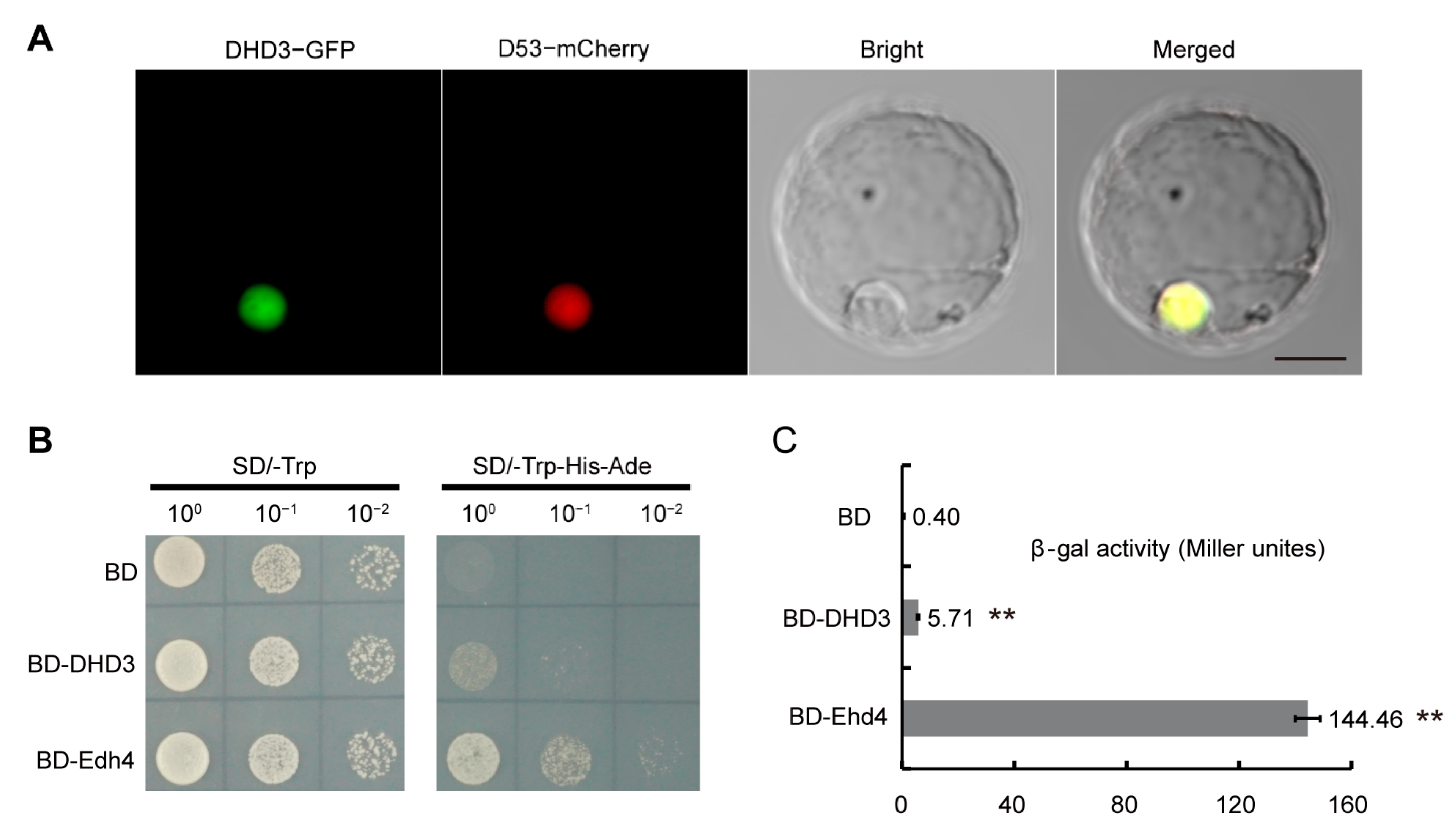 Agriculture 12 01022 g004