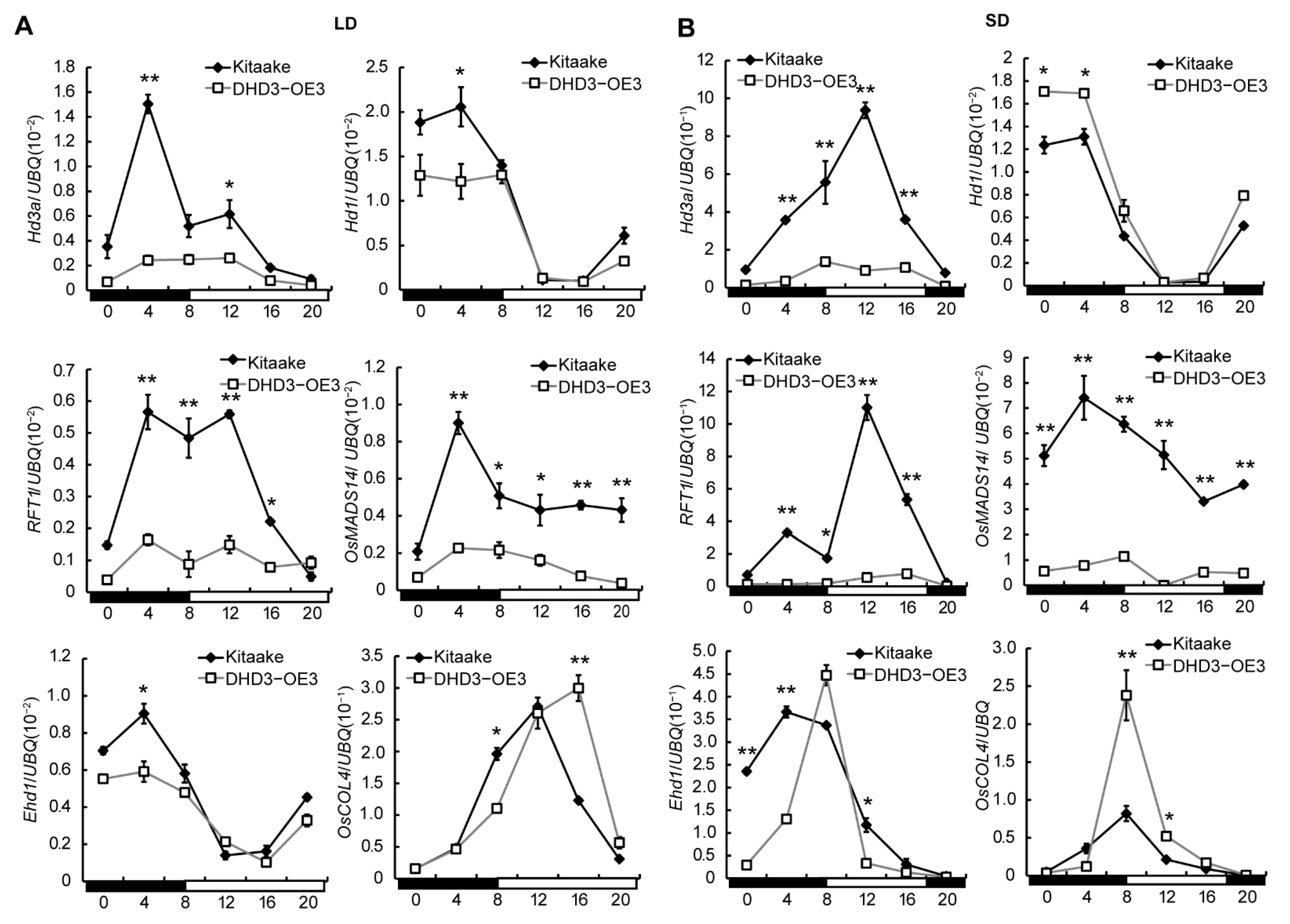 Agriculture 12 01022 g005