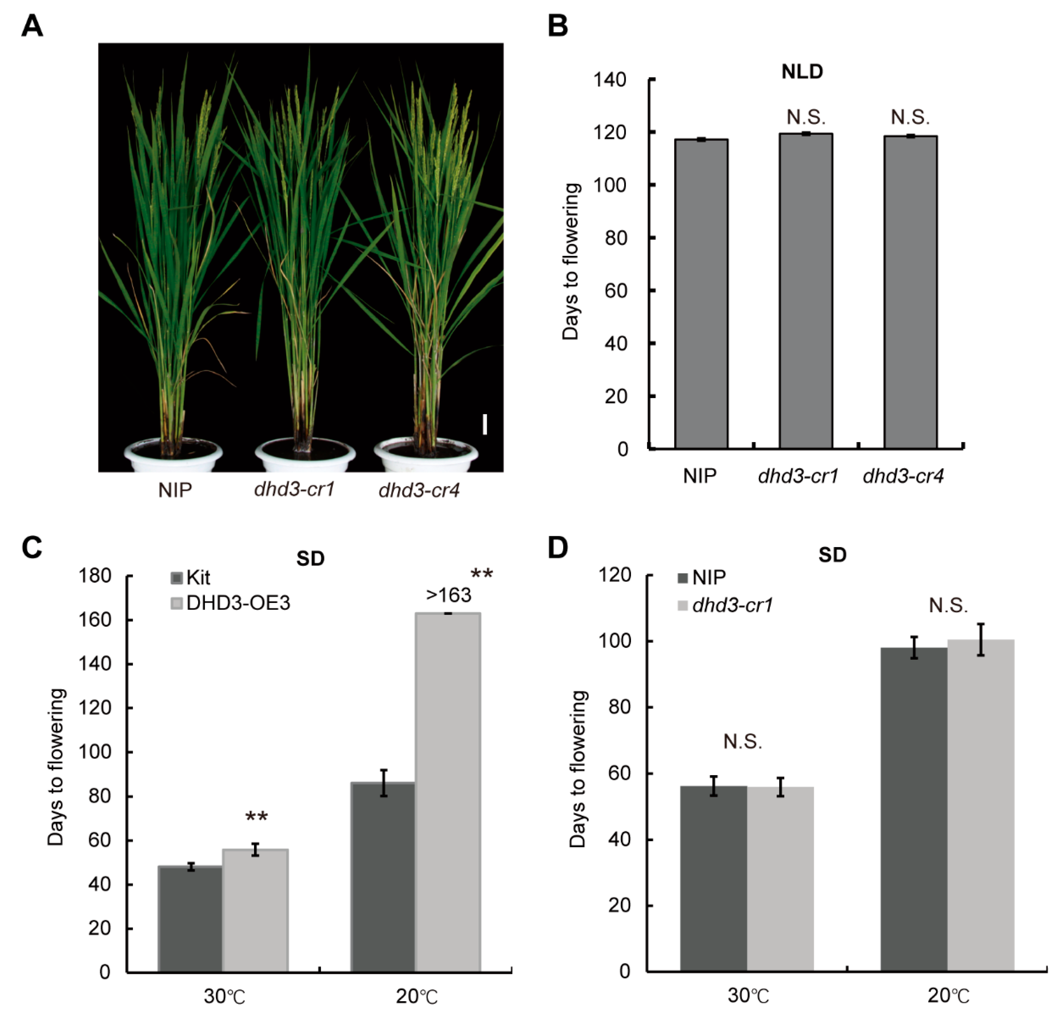 Agriculture 12 01022 g007