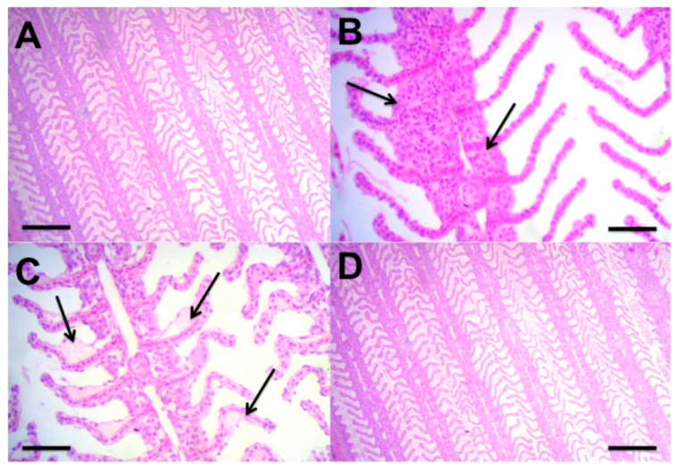 Agriculture 12 01025 g004