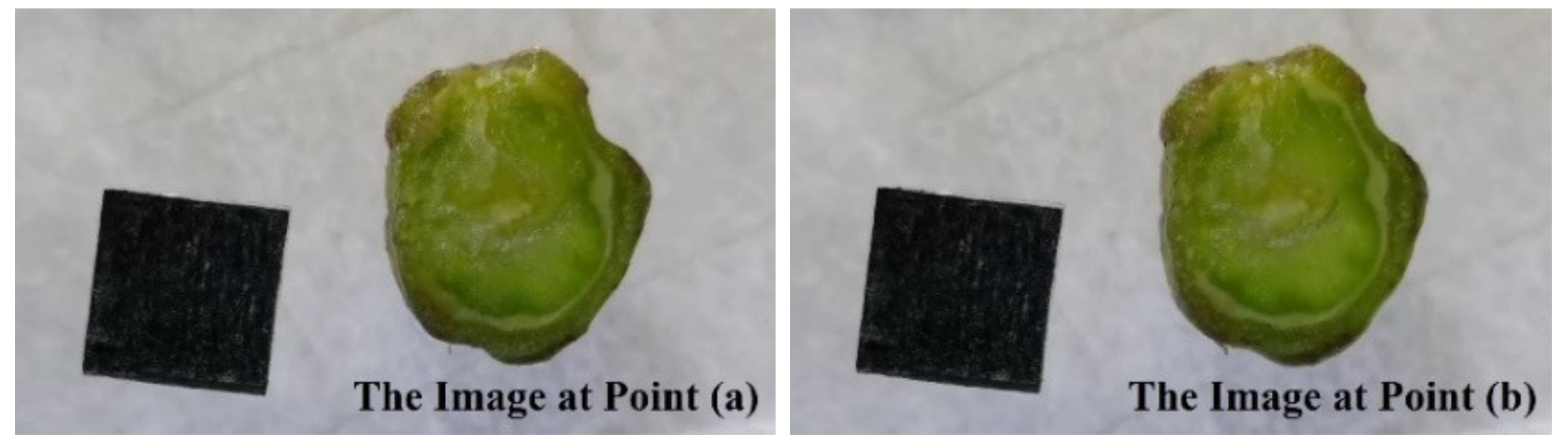 Agriculture 12 01026 g004