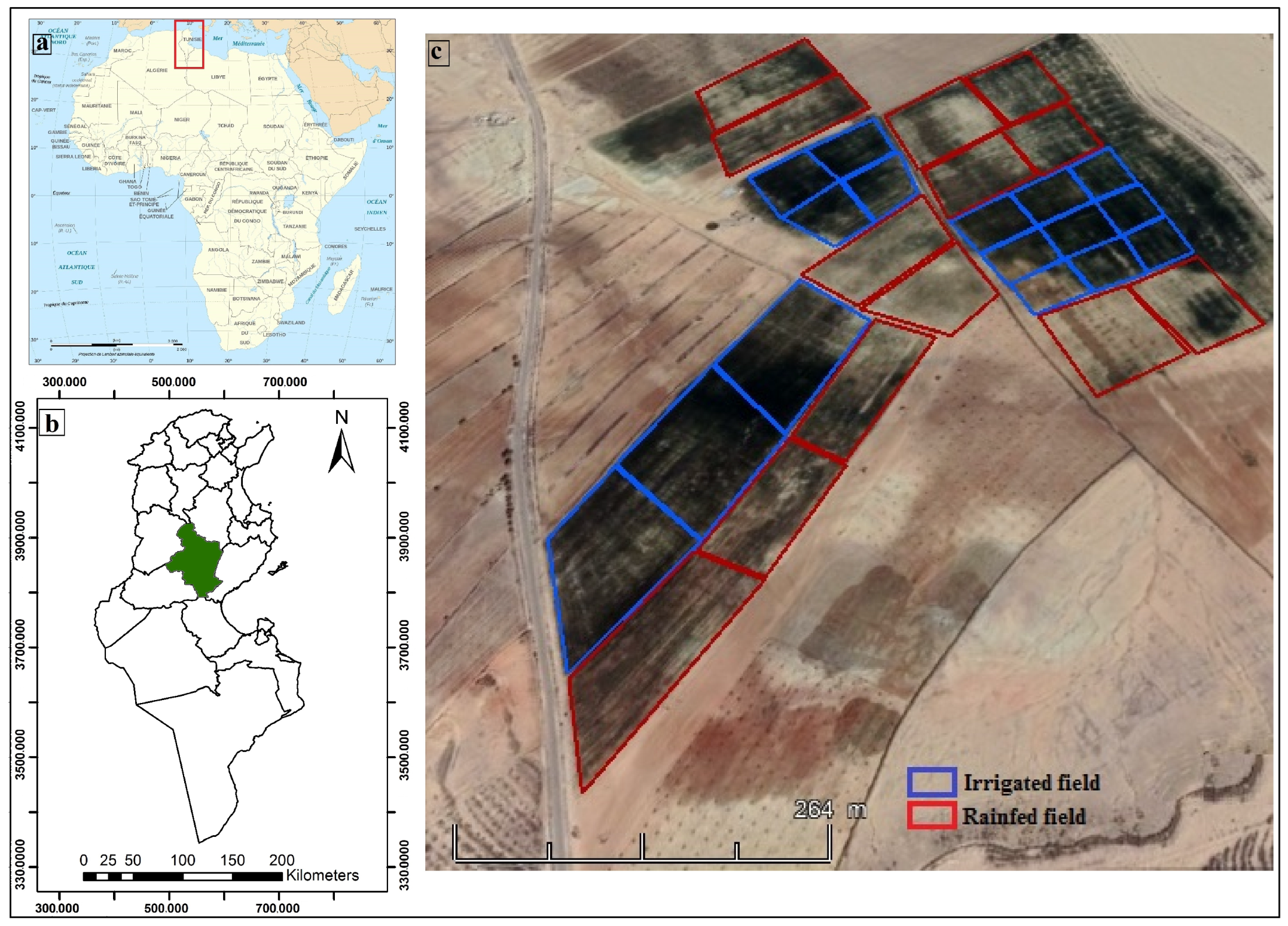 Agriculture 12 01032 g001