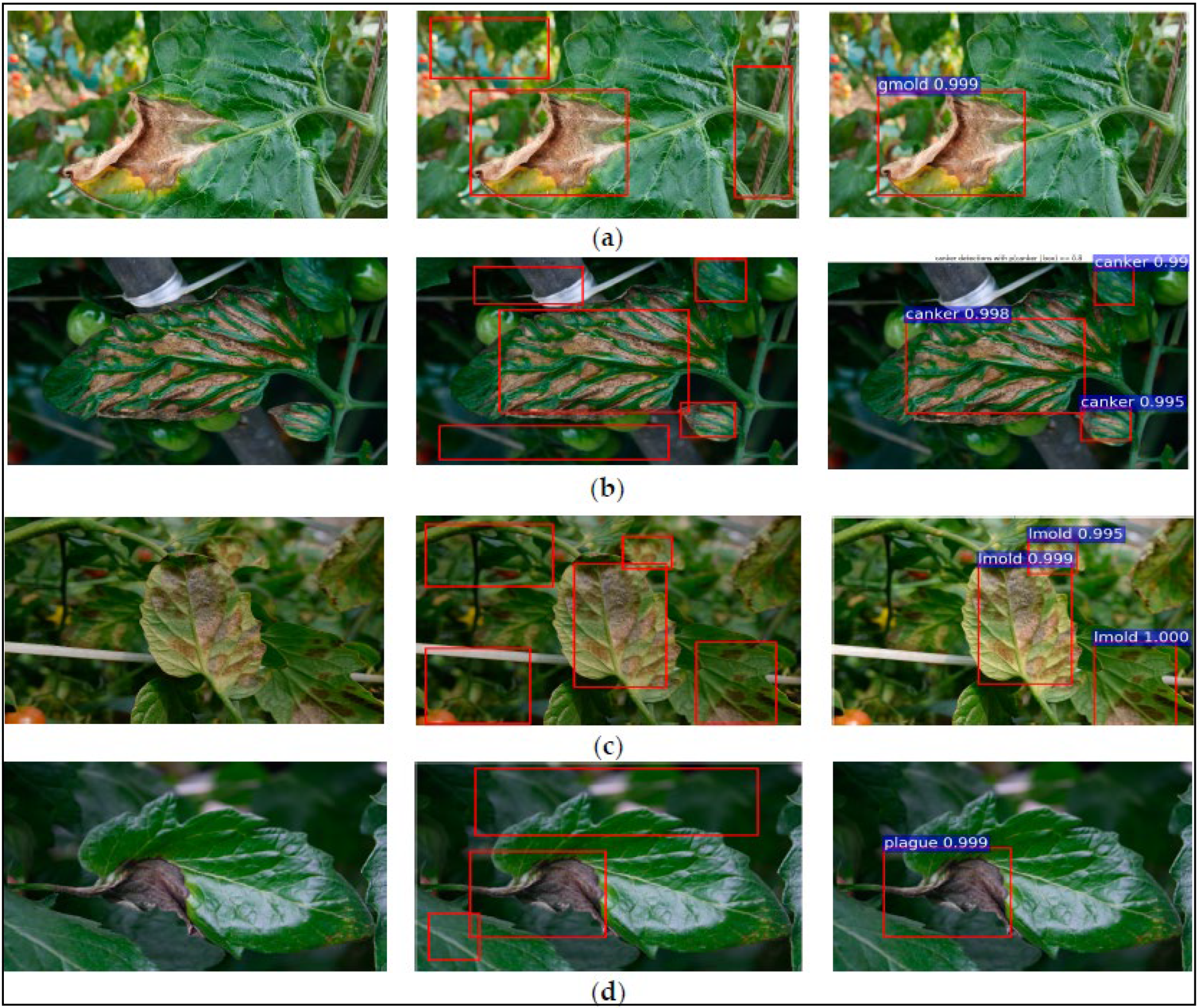 Agriculture 12 01033 g004 550