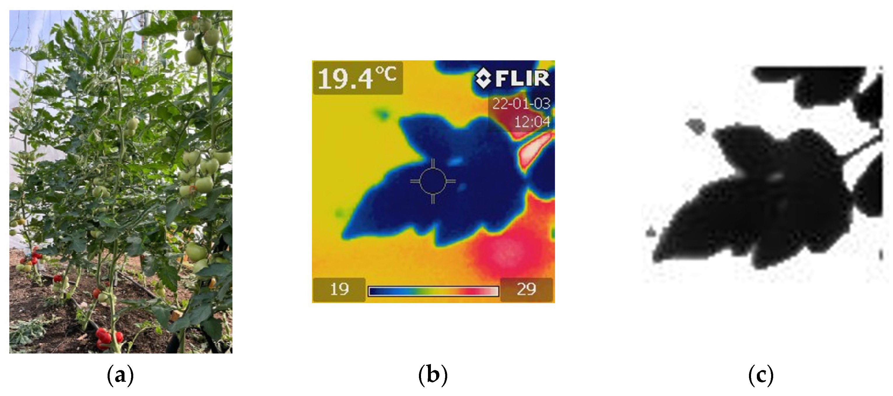 Agriculture 12 01034 g001 550