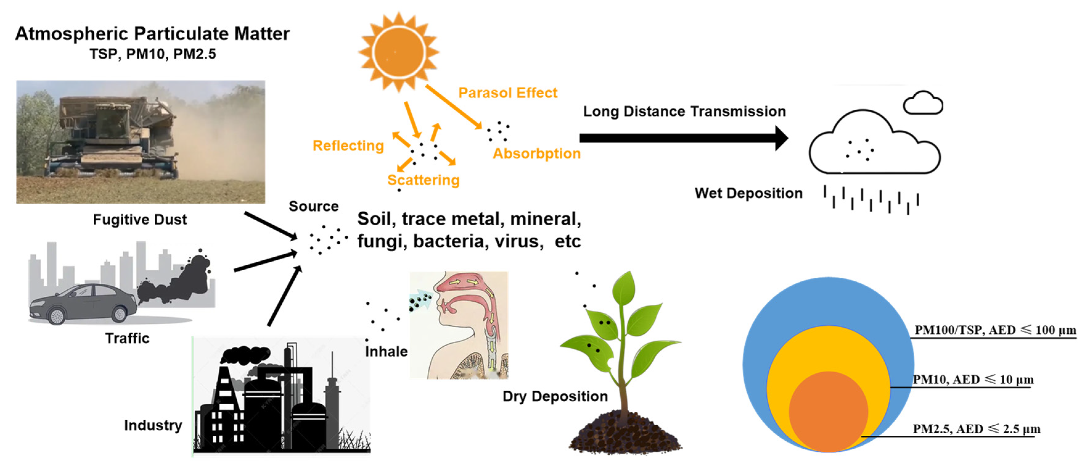Agriculture 12 01038 g001 550