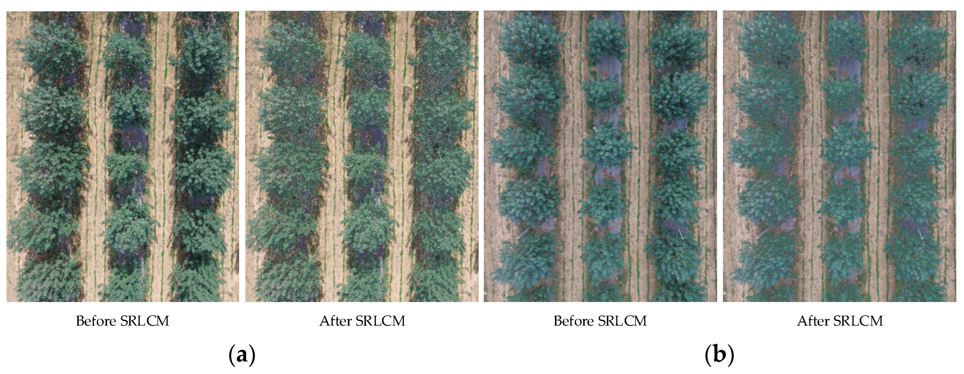 Agriculture 12 01039 g006 Agriculture 12 01039 g006