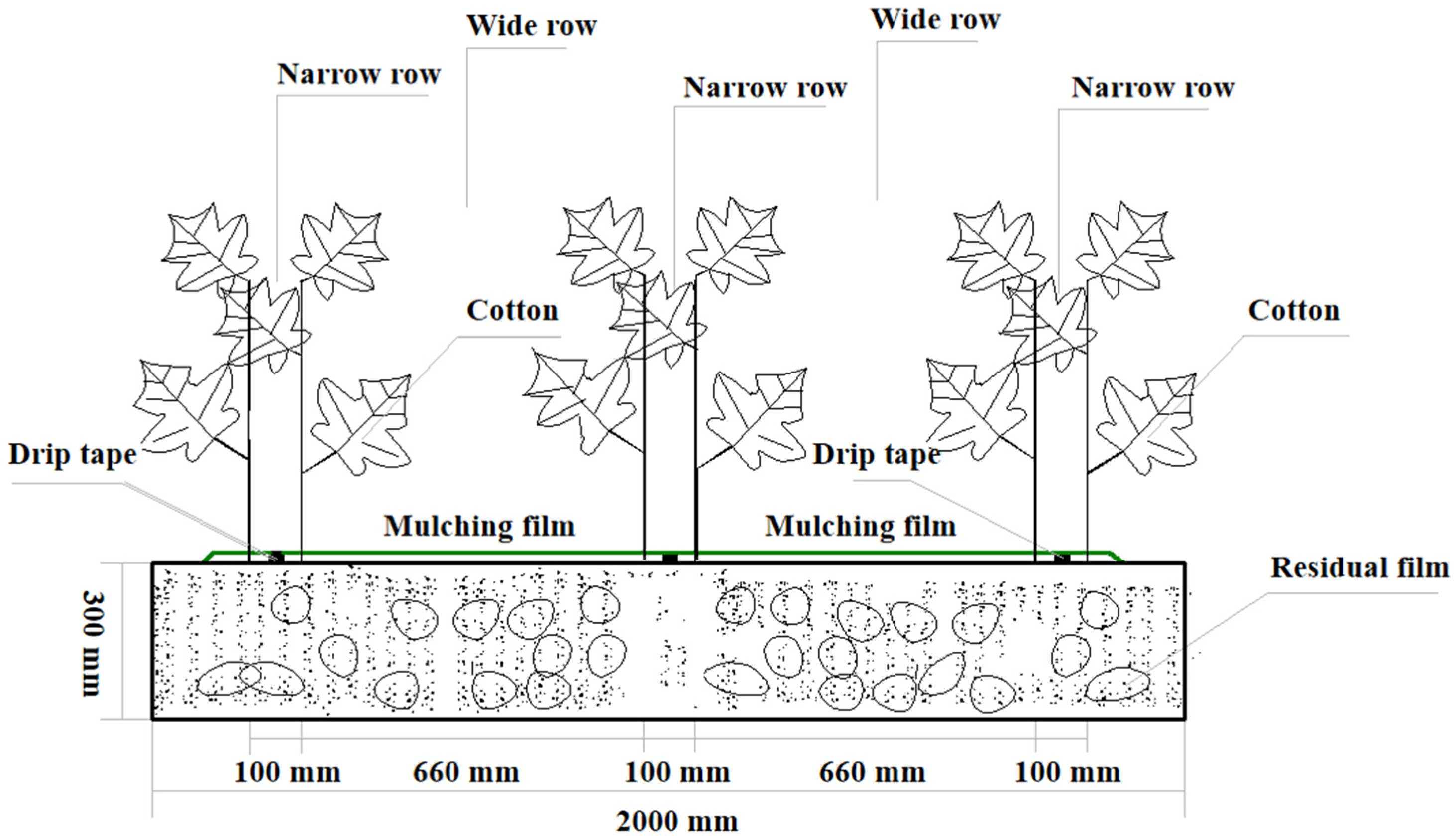 Agriculture 12 01041 g001