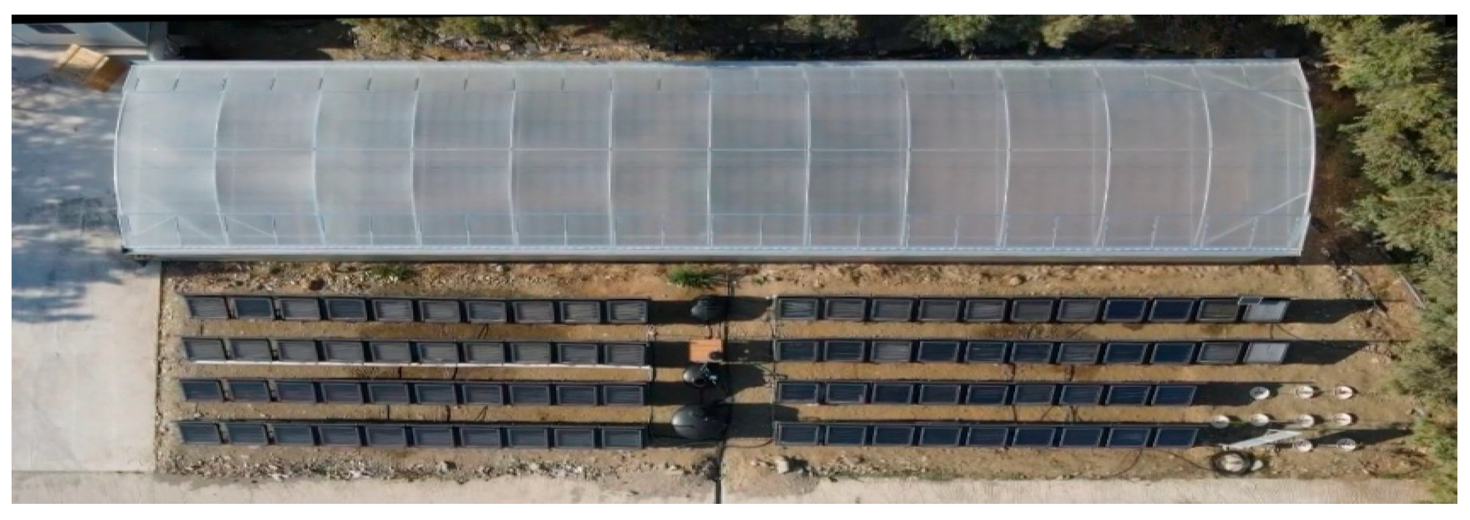 Agriculture 12 01044 g015 550