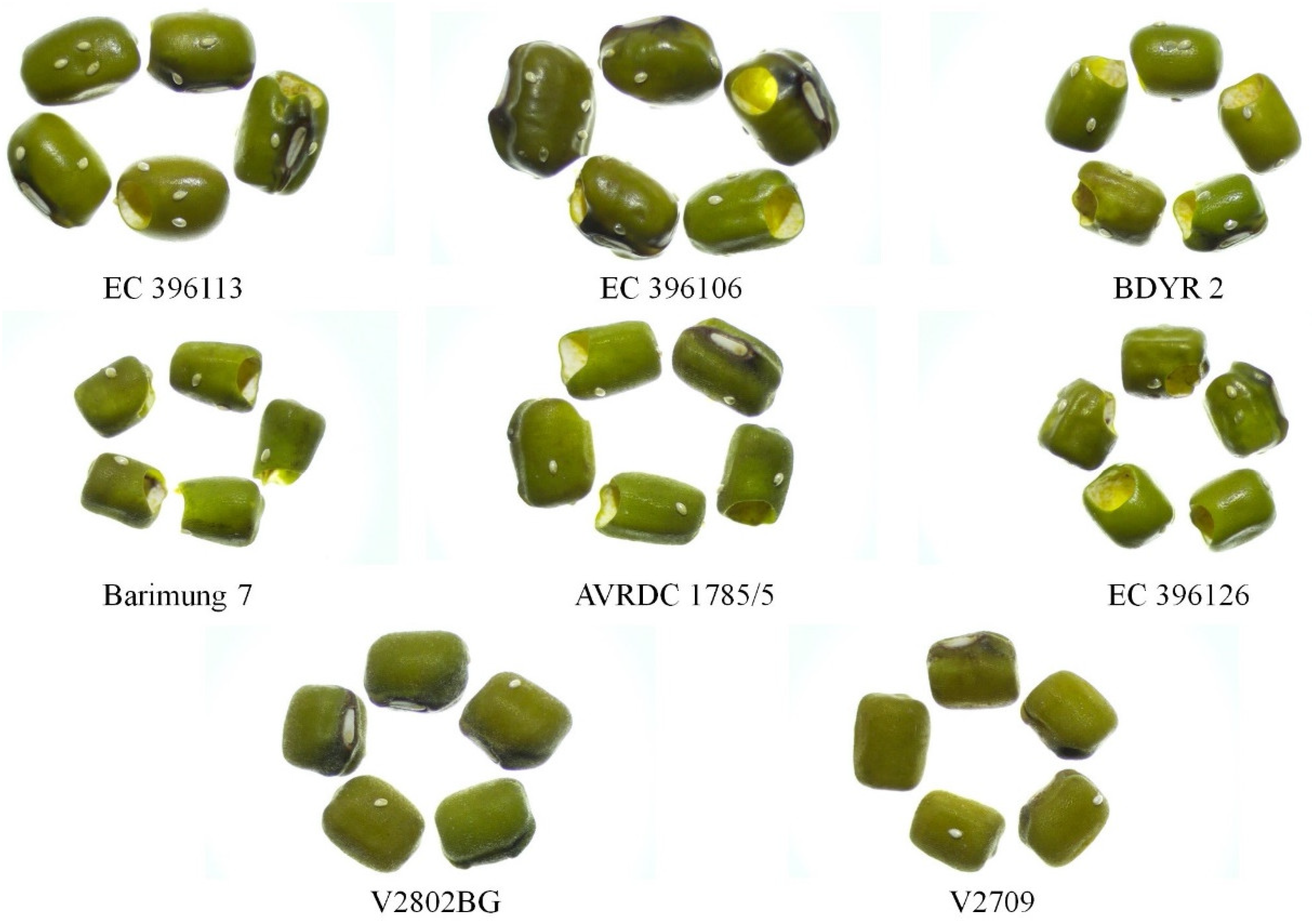 Agriculture 12 01050 g002 Agriculture 12 01050 g002